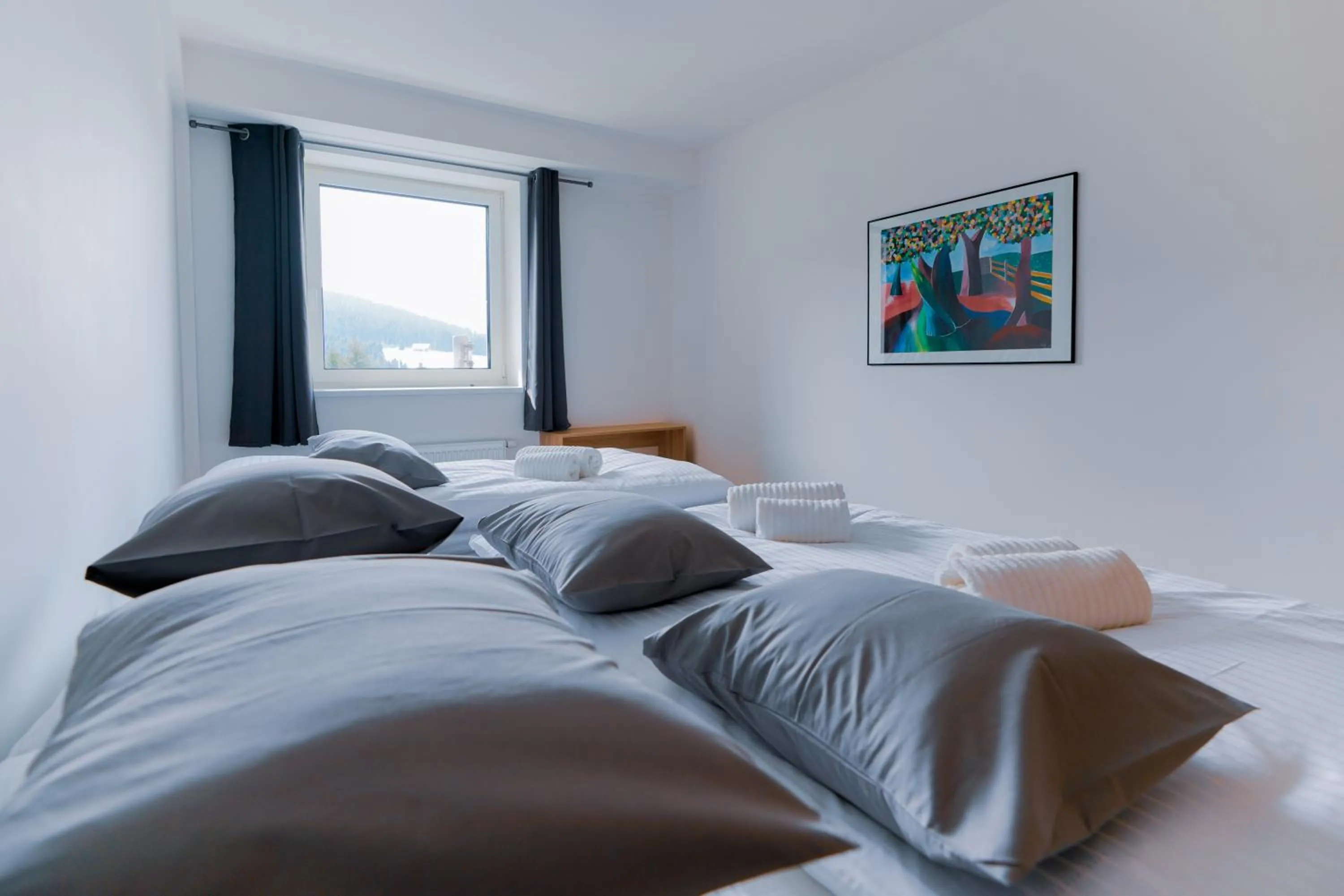 Bed in Aparthotel Klínovec Views