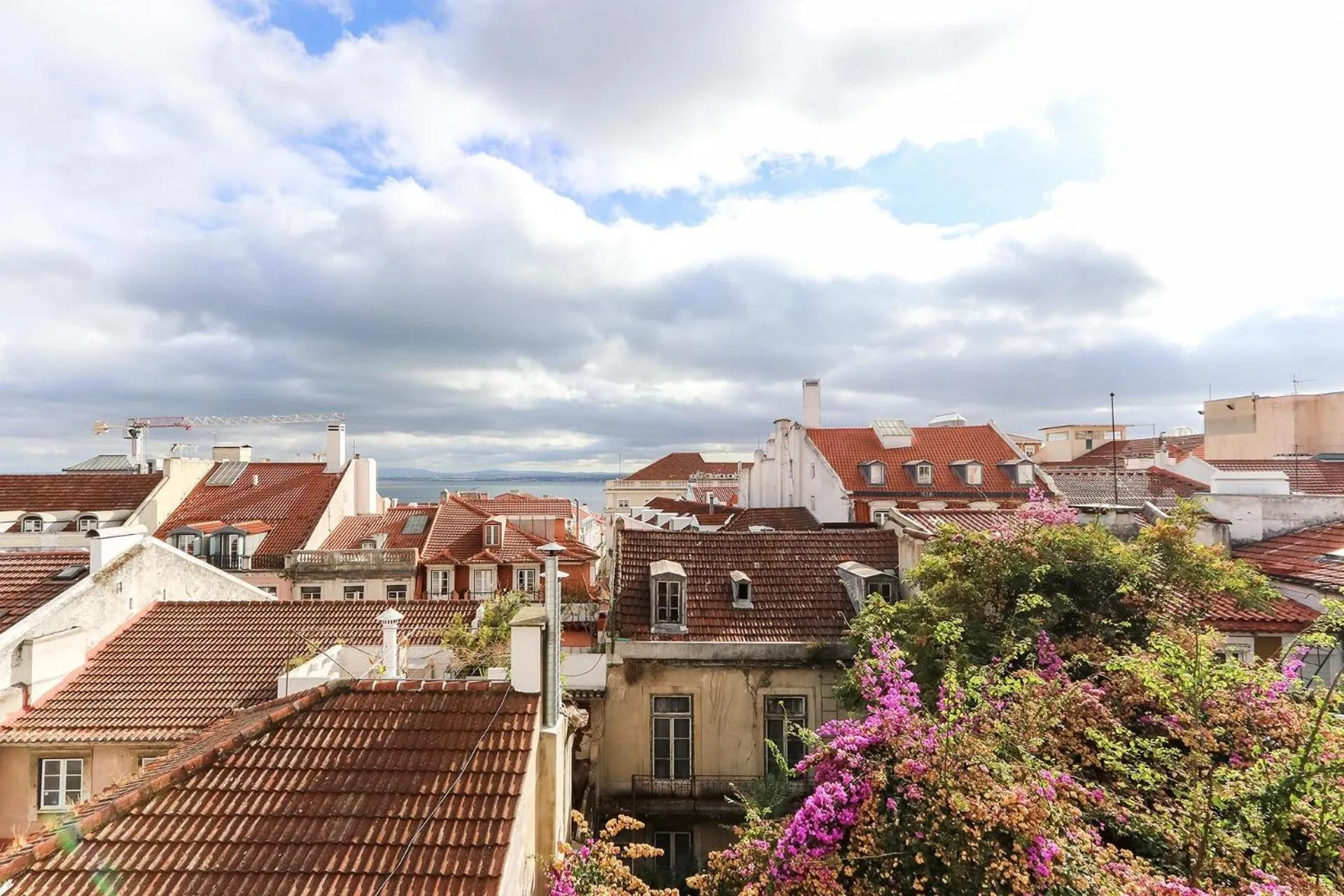 Other in Bairro Alto Views by Homing