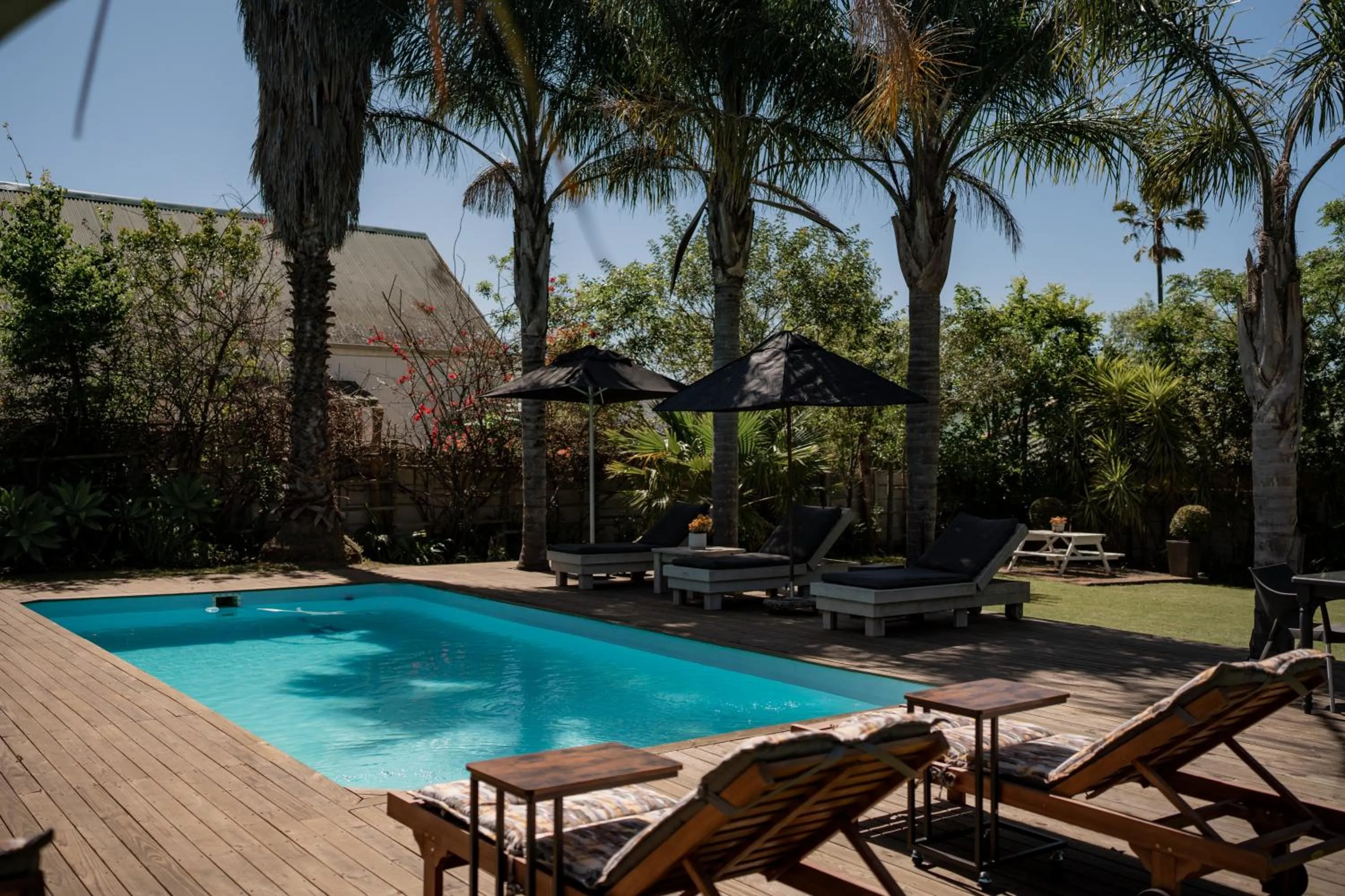 Swimming pool in Elianthe Guesthouse