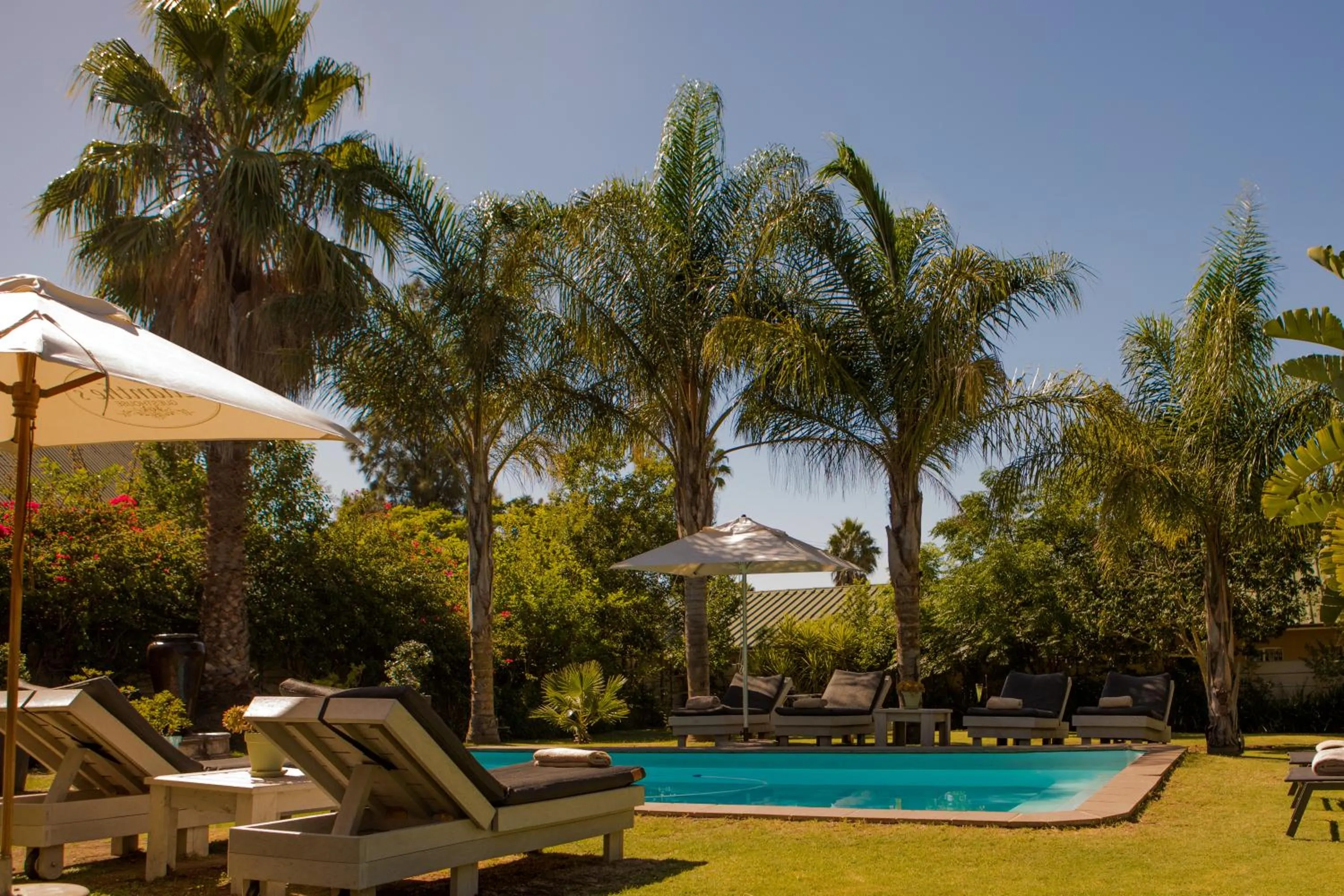Swimming pool in Elianthe Guesthouse