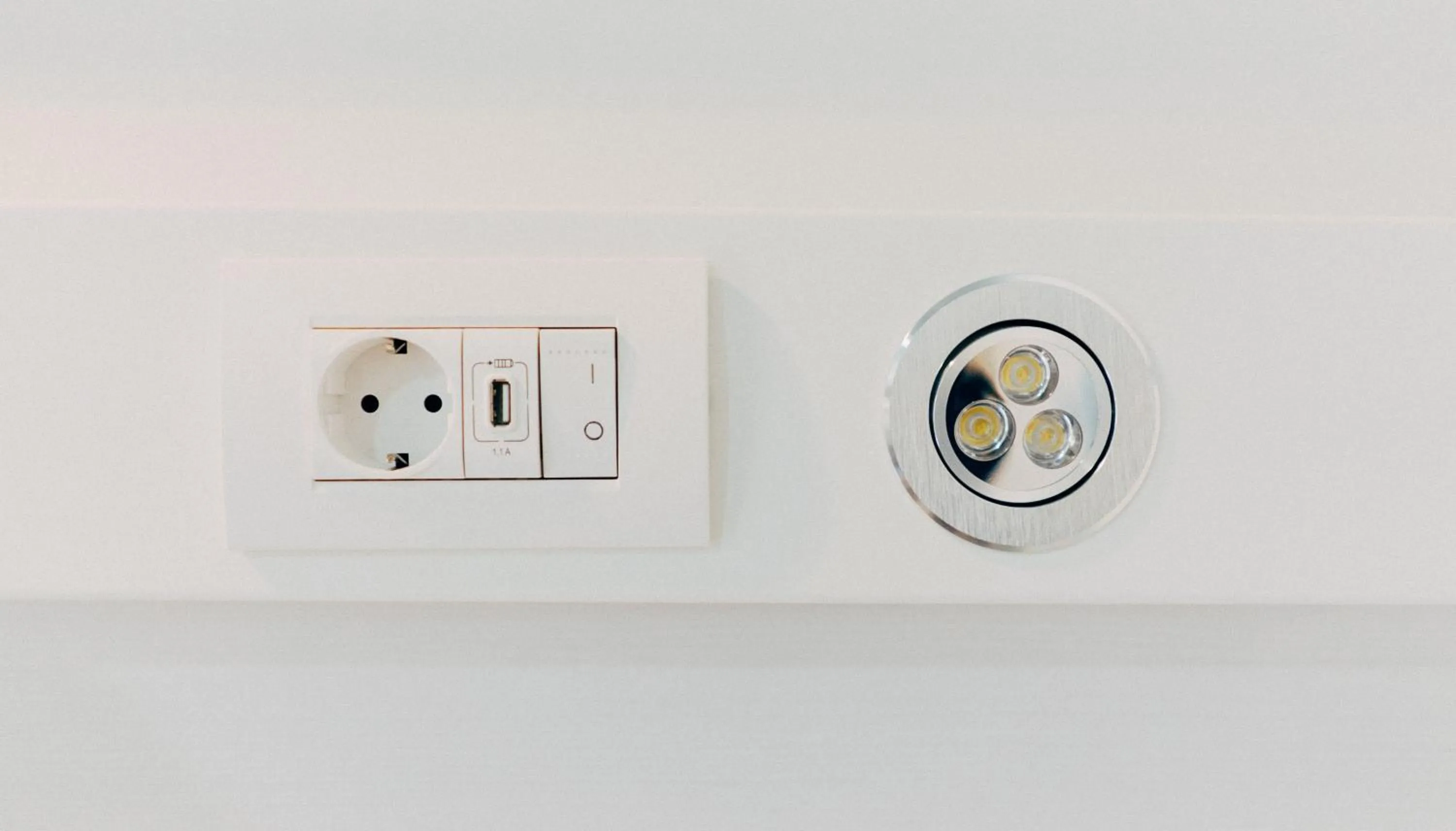 bunk bed in Black Swan Hostel