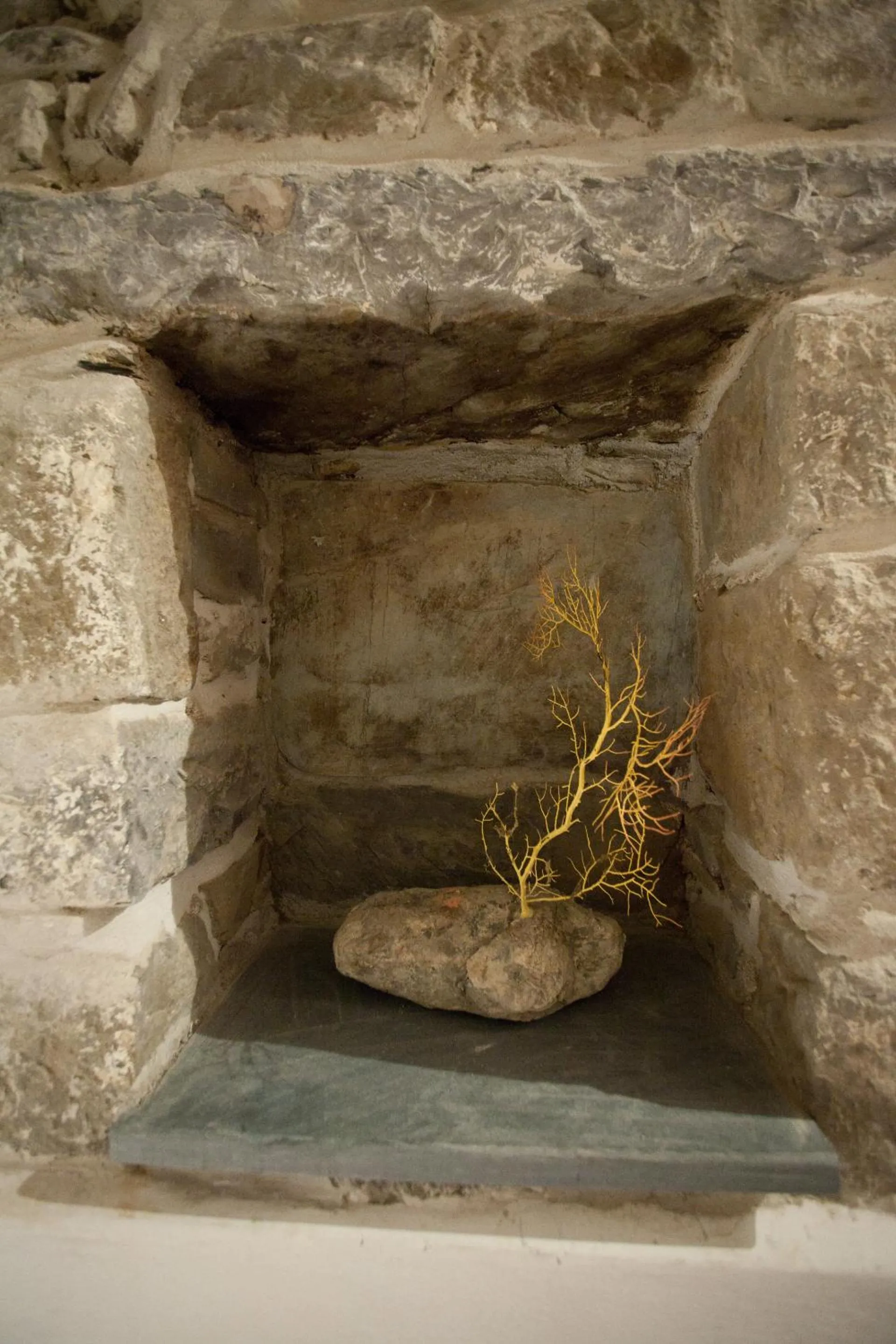 Other in Scorci Di Mare