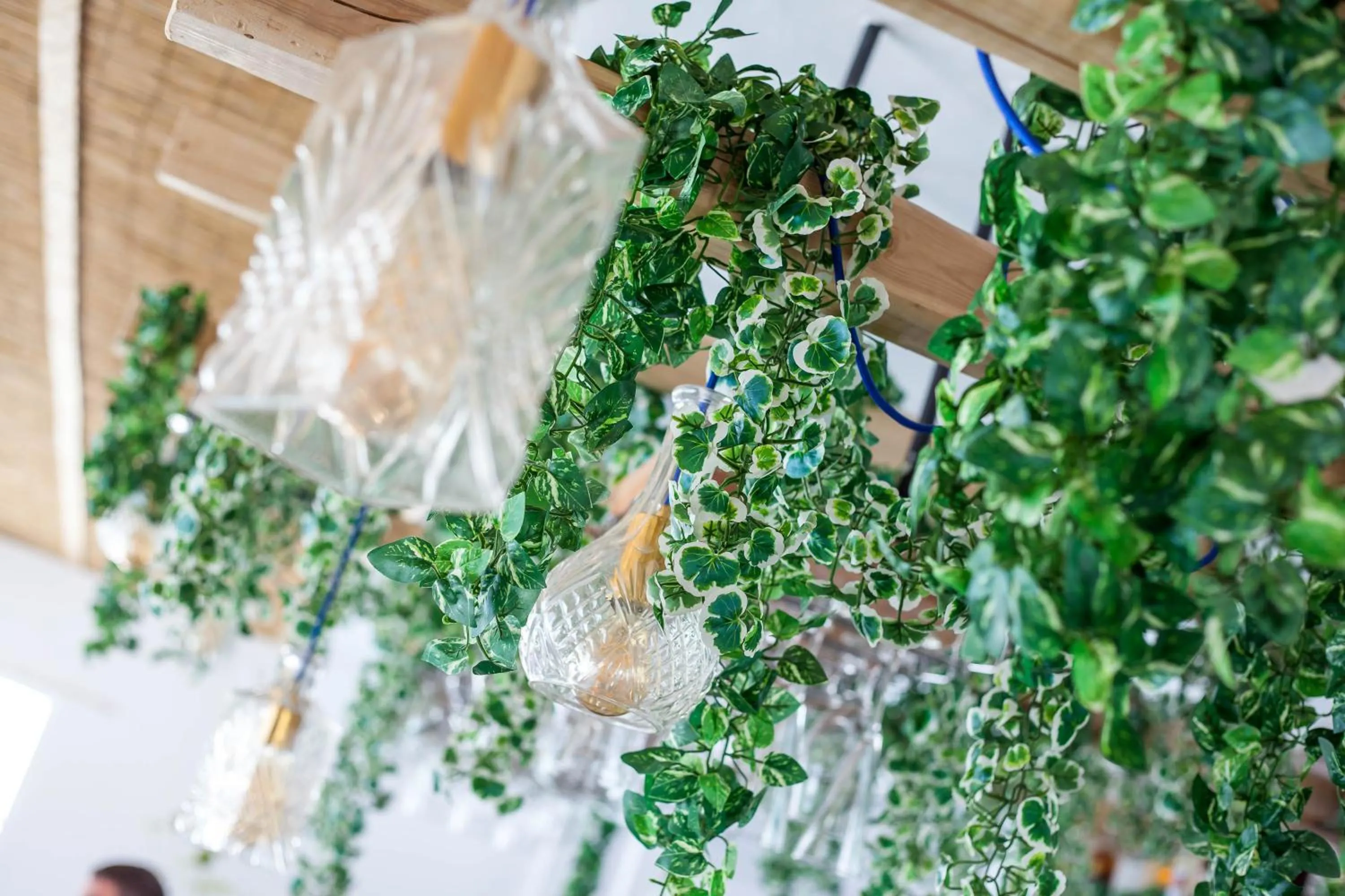 Lounge or bar in Tinas Plus Hotel