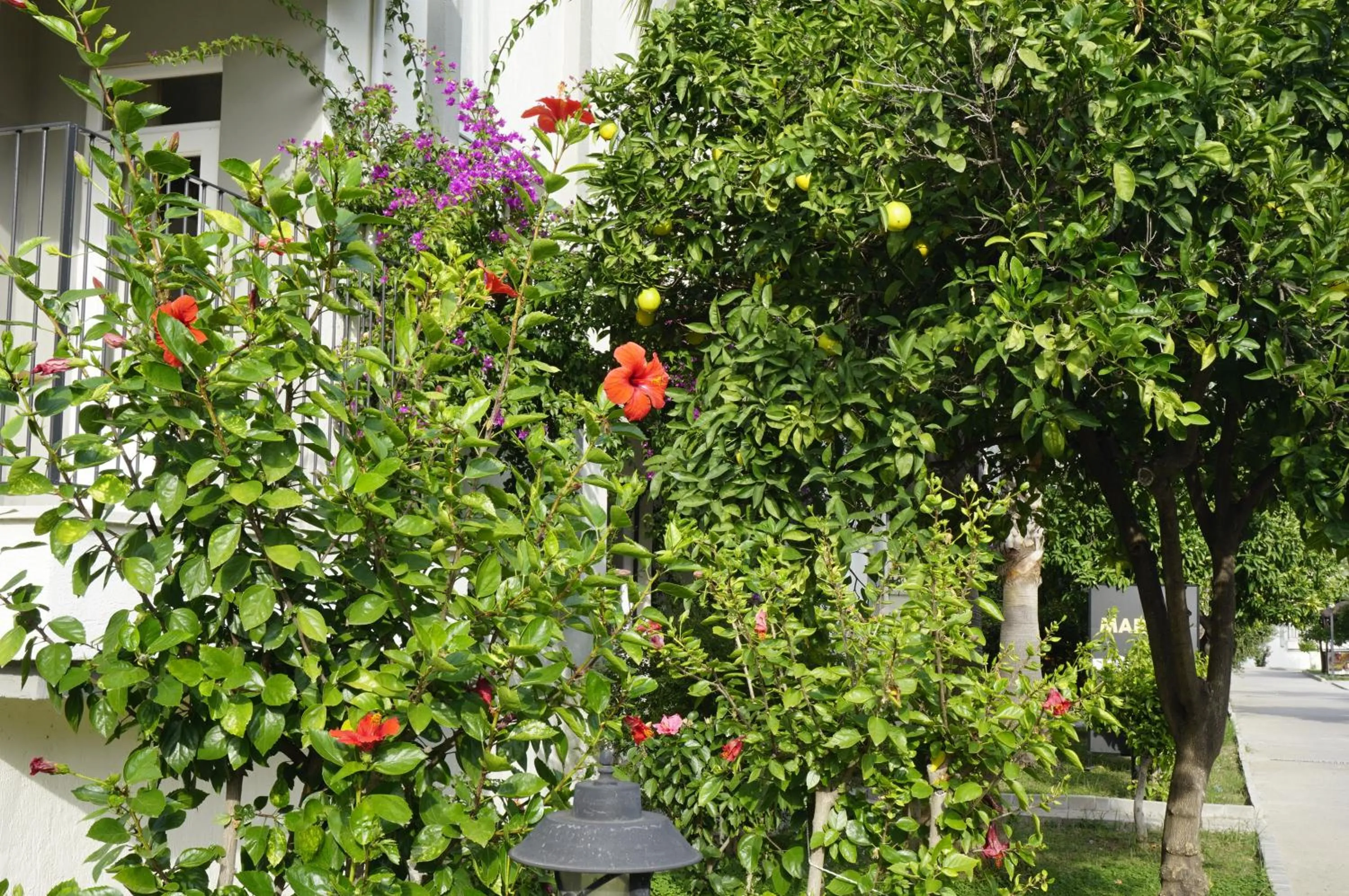 Garden view in Sunlight Garden Hotel