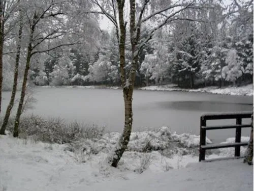 View (from property/room) in The Commercial Hotel