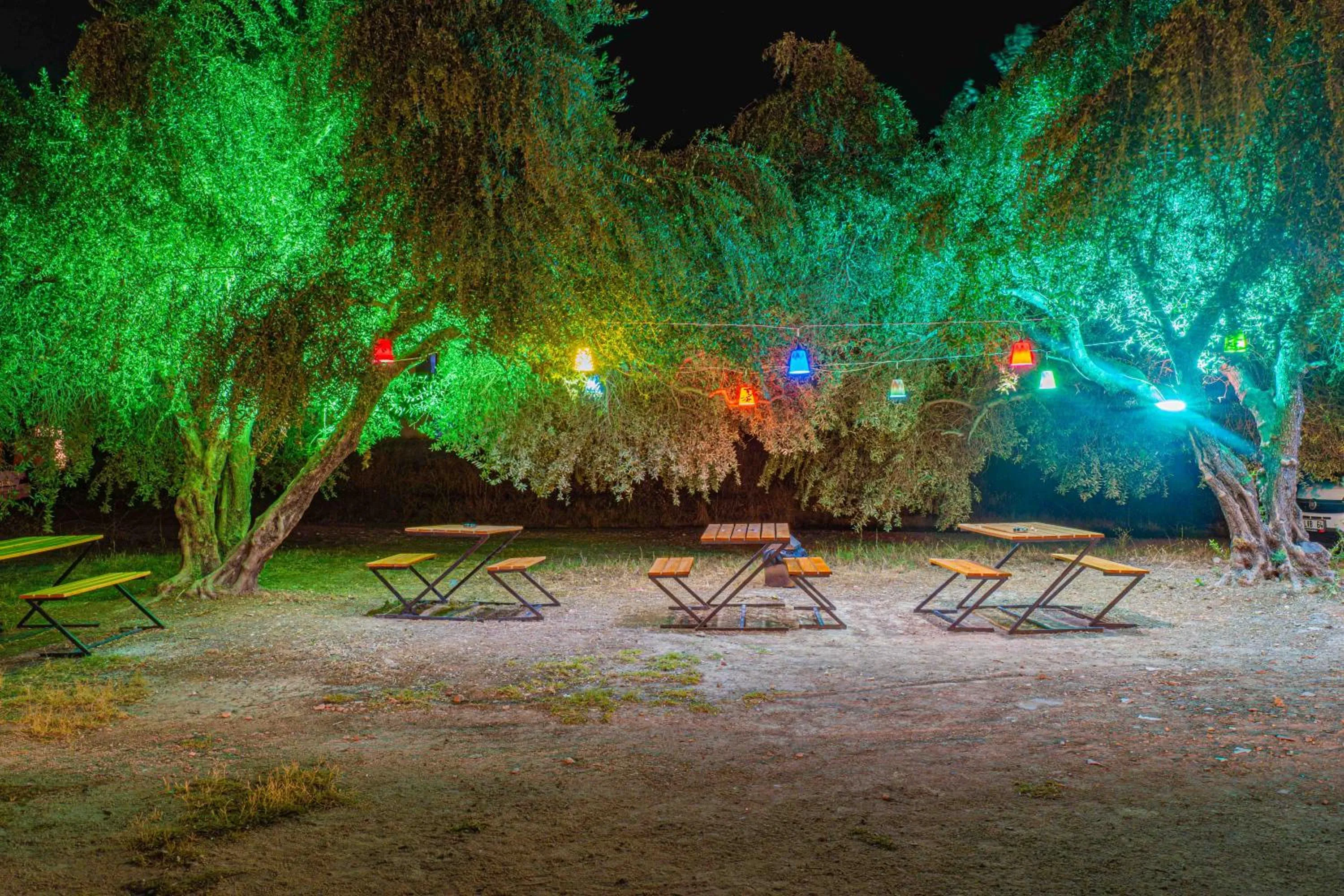 Garden in Sayanora Hotel - All Inclusive