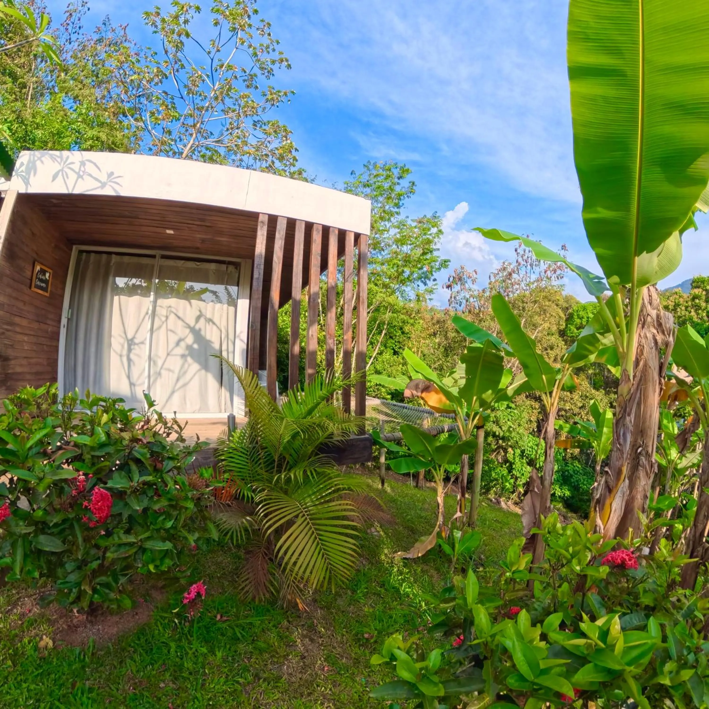 Garden view in Costeño River Minca