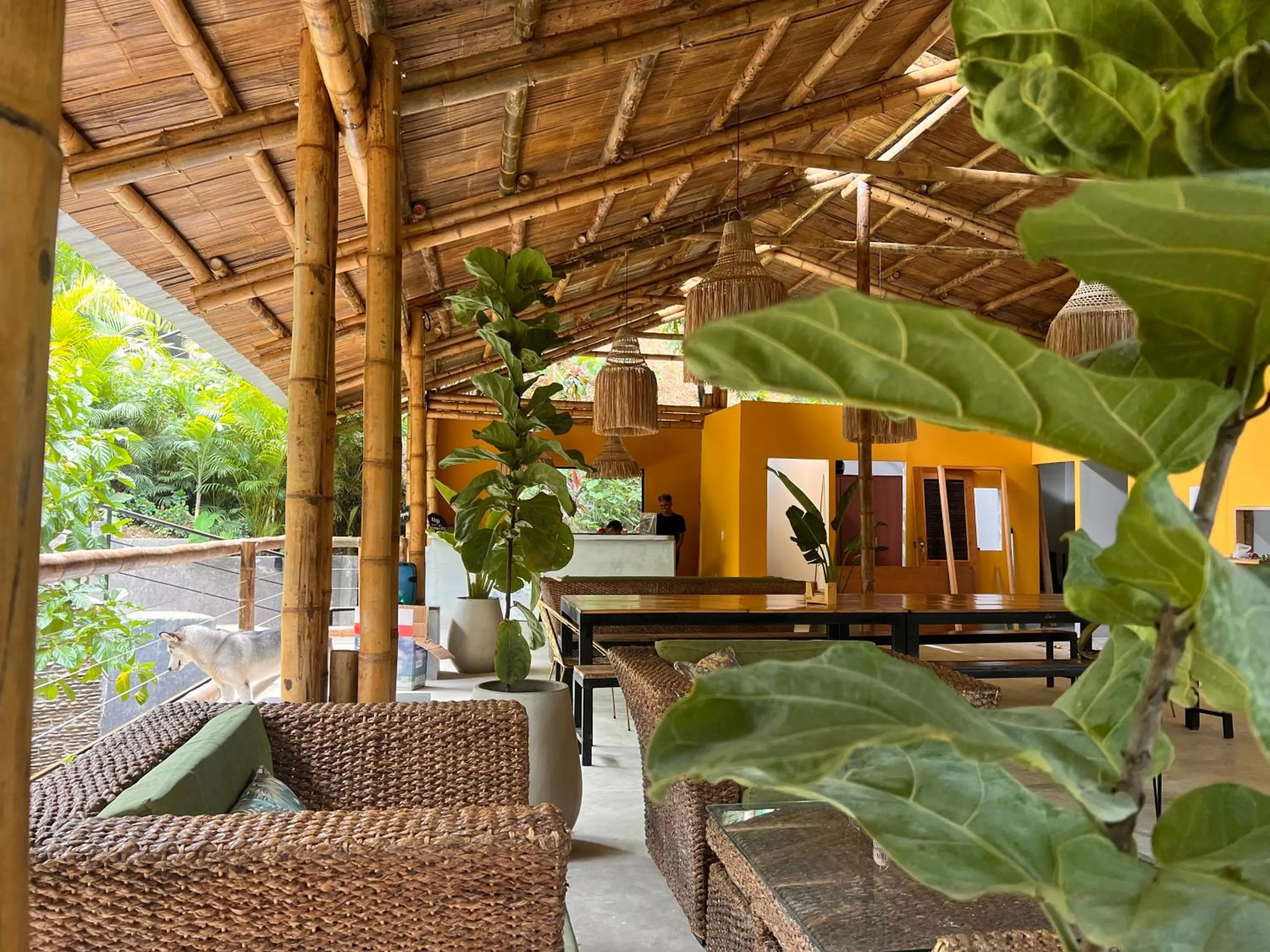 View (from property/room) in Costeño River Minca