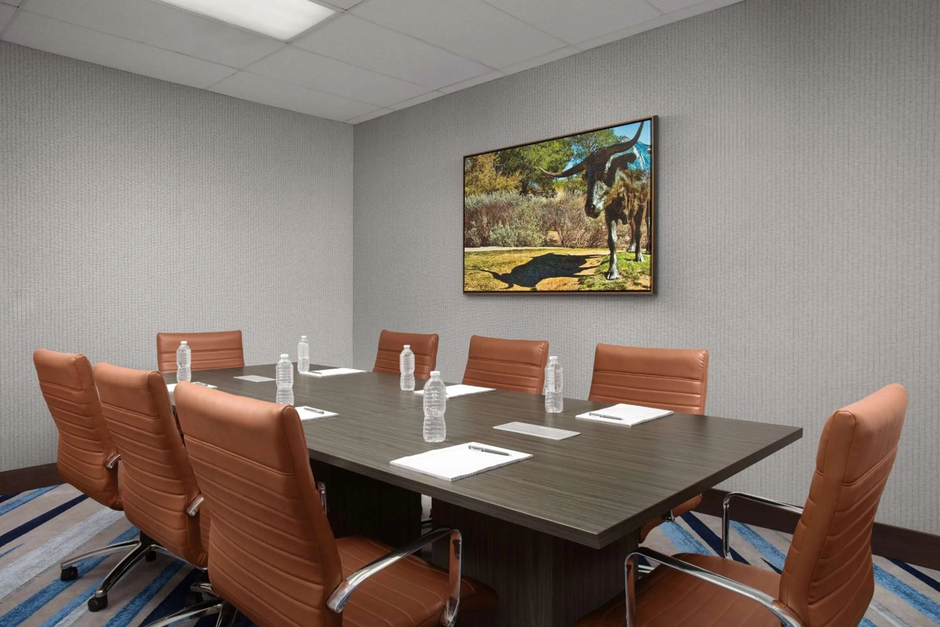 Meeting/conference room in Embassy Suites by Hilton Dallas Near the Galleria