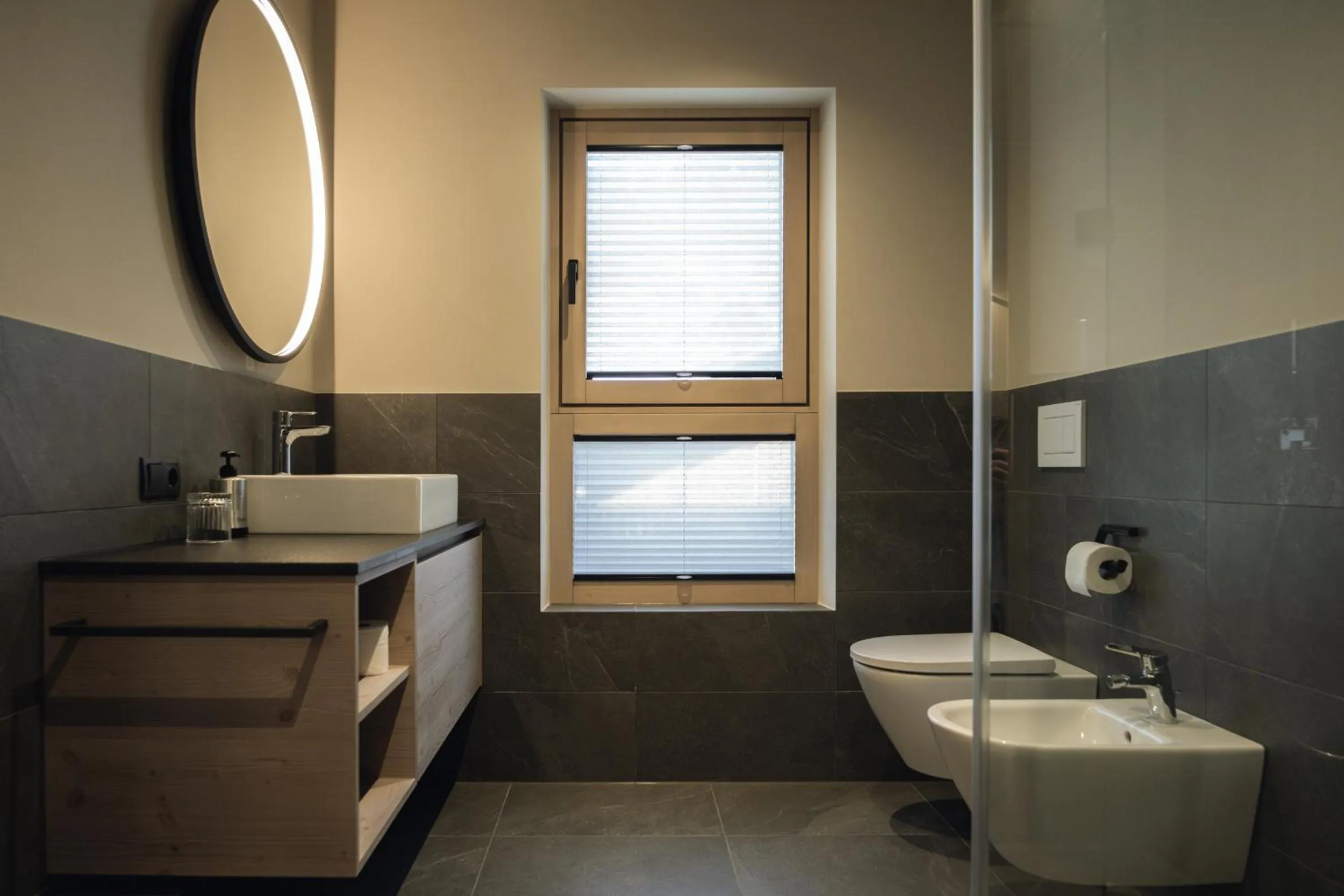 Toilet in Haunold Homes