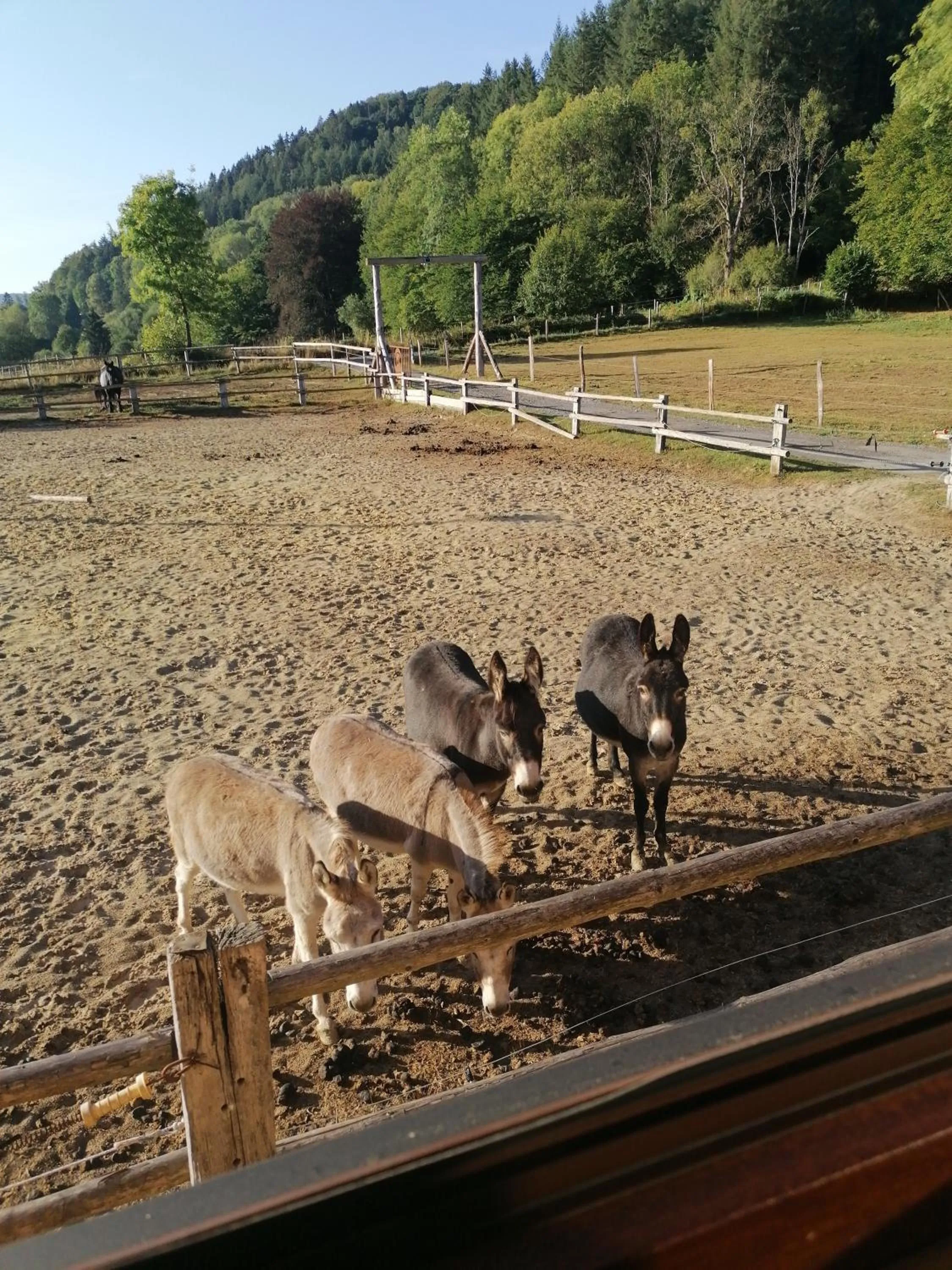 Animals in Couettes et Picotin