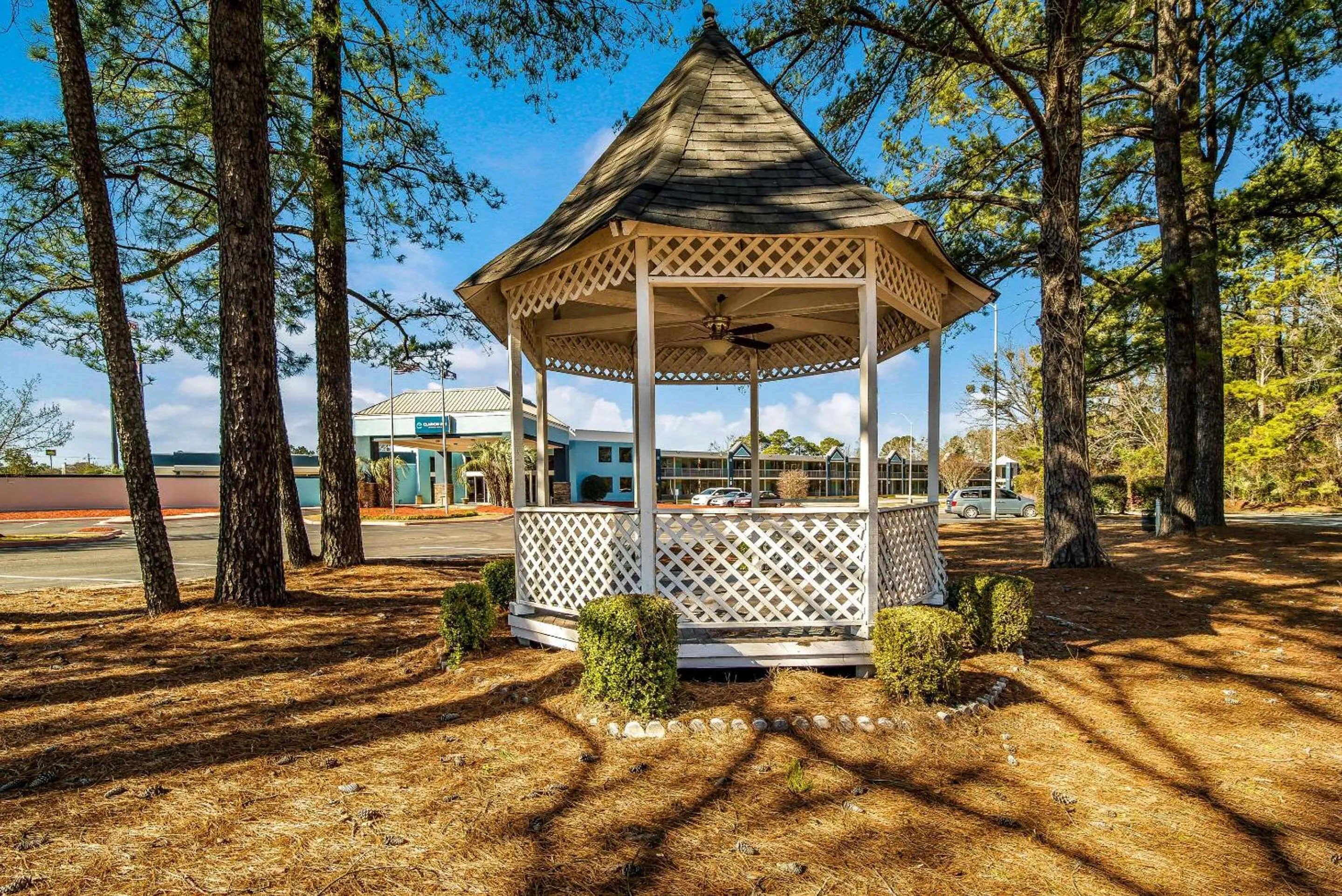 Other in Clarion Inn & Suites Florence - Darlington