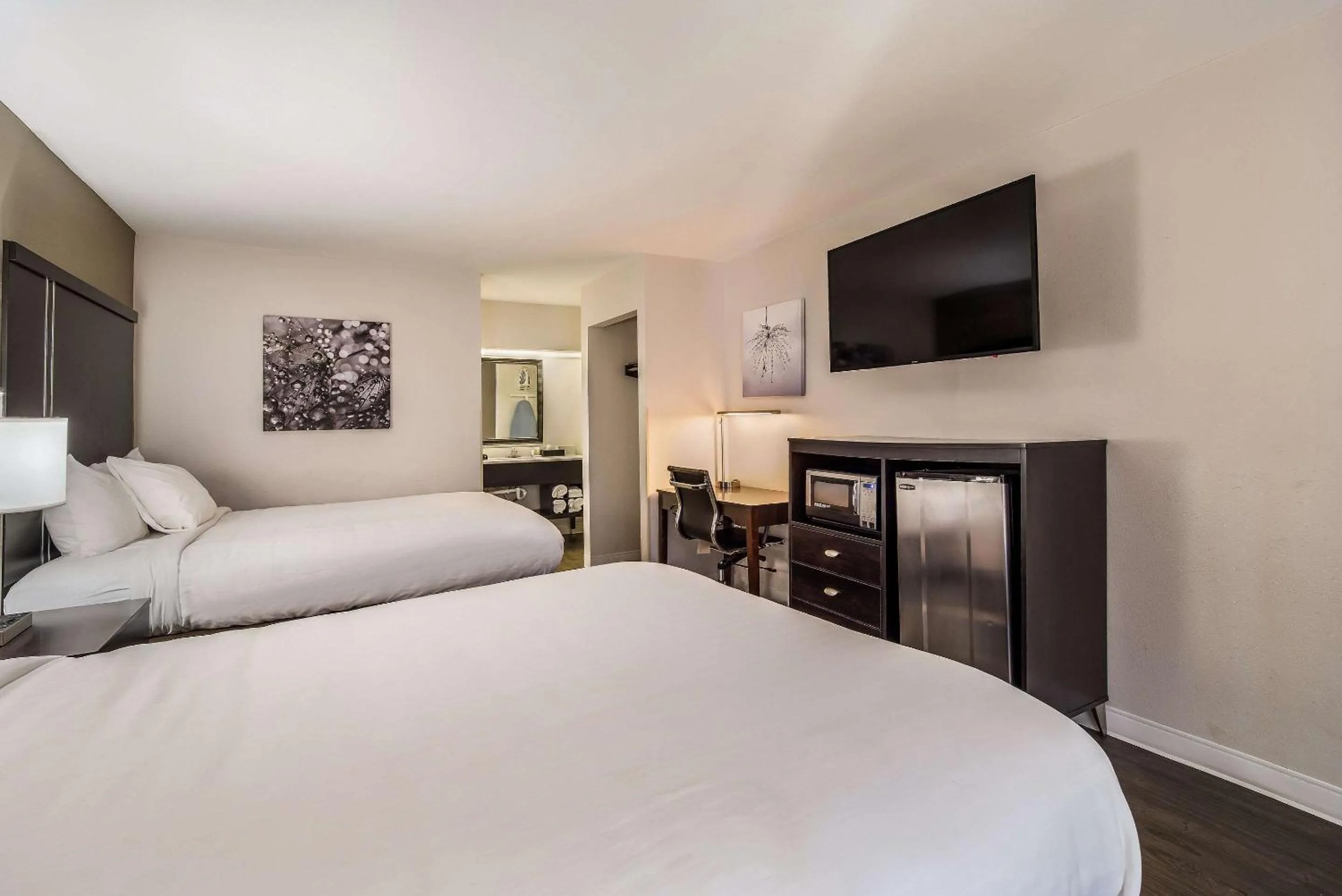 Photo of the whole room, Bed in Clarion Inn & Suites Florence - Darlington