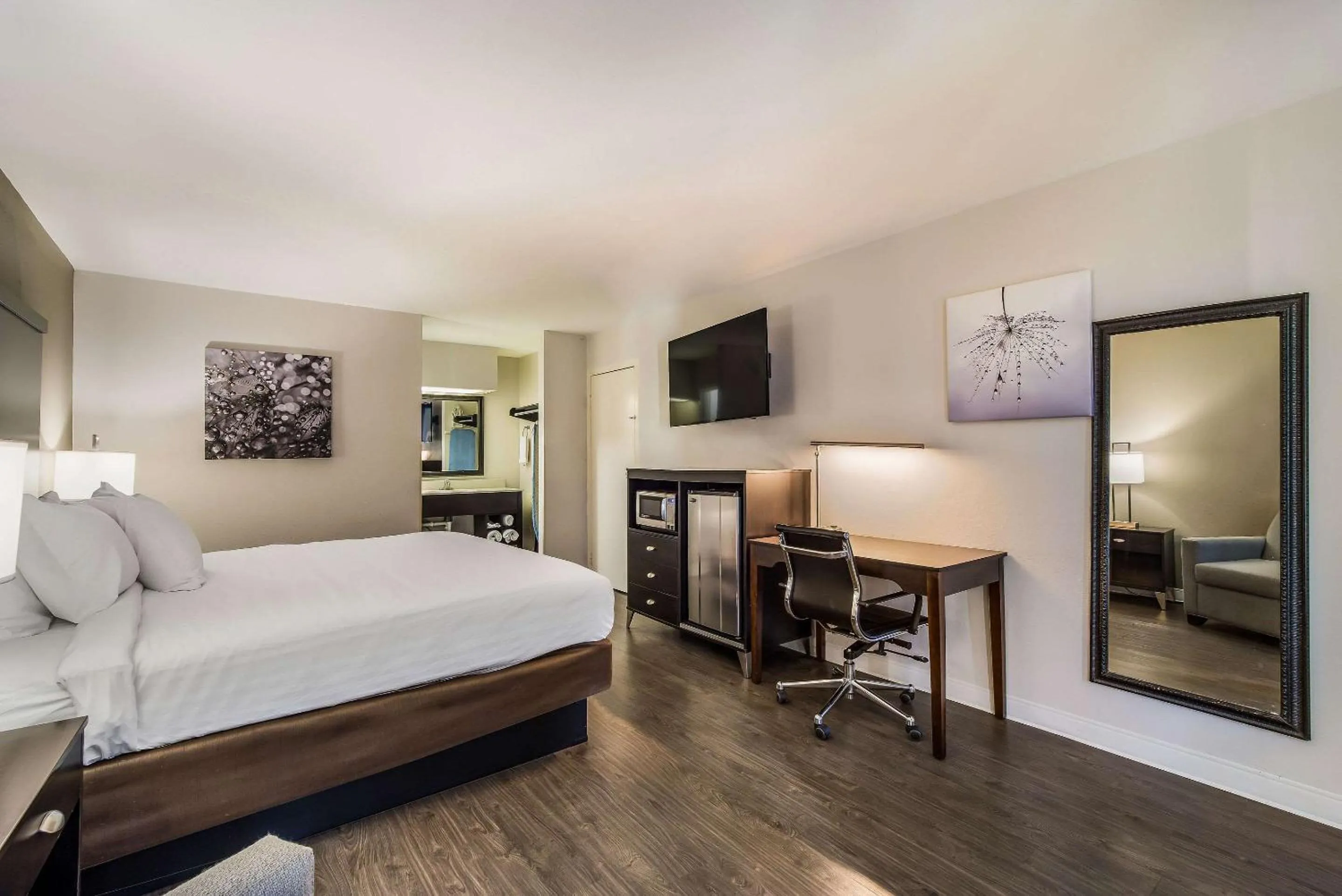 Photo of the whole room, Bed in Clarion Inn & Suites Florence - Darlington