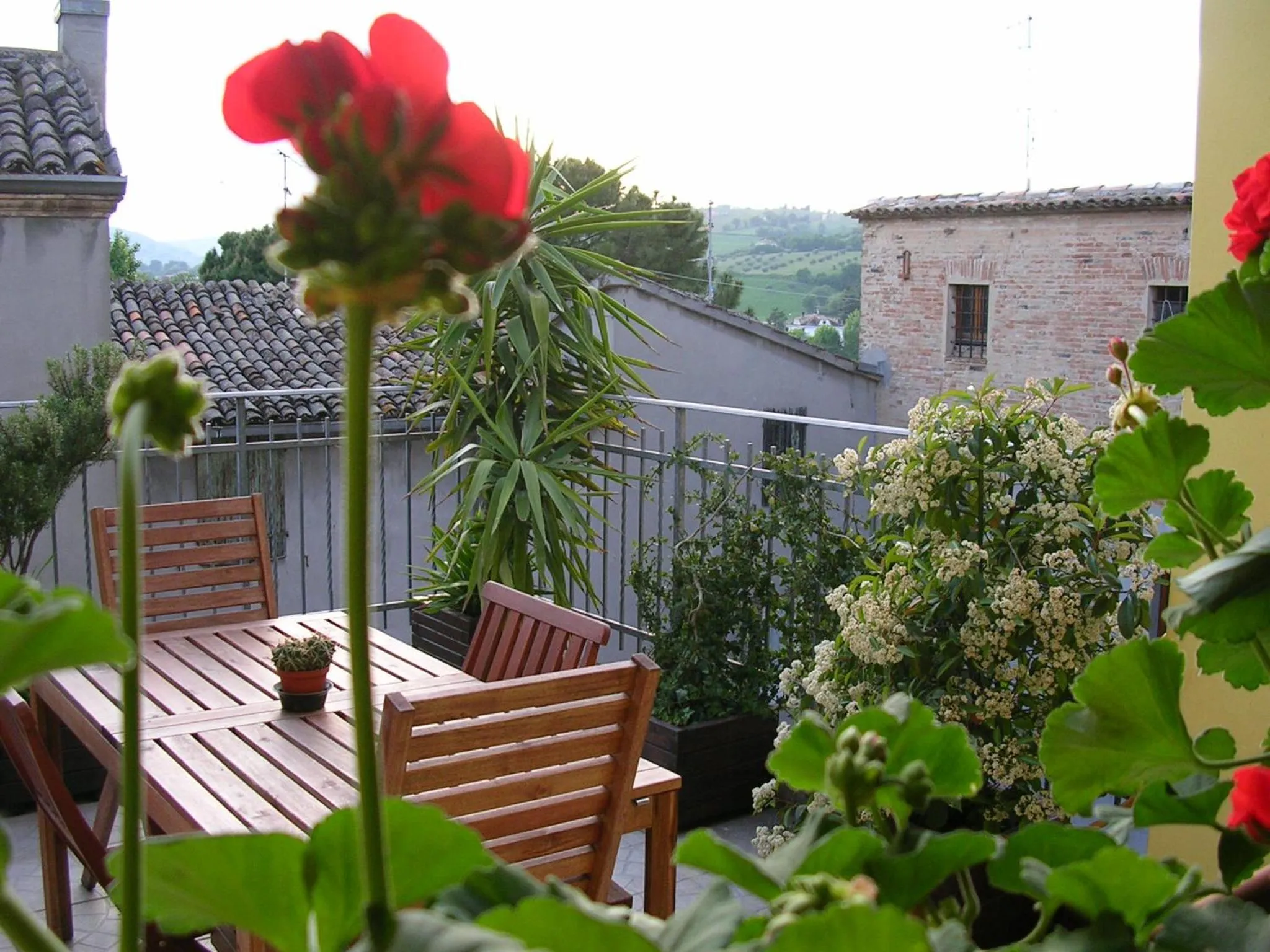 View (from property/room) in Cappone B&B