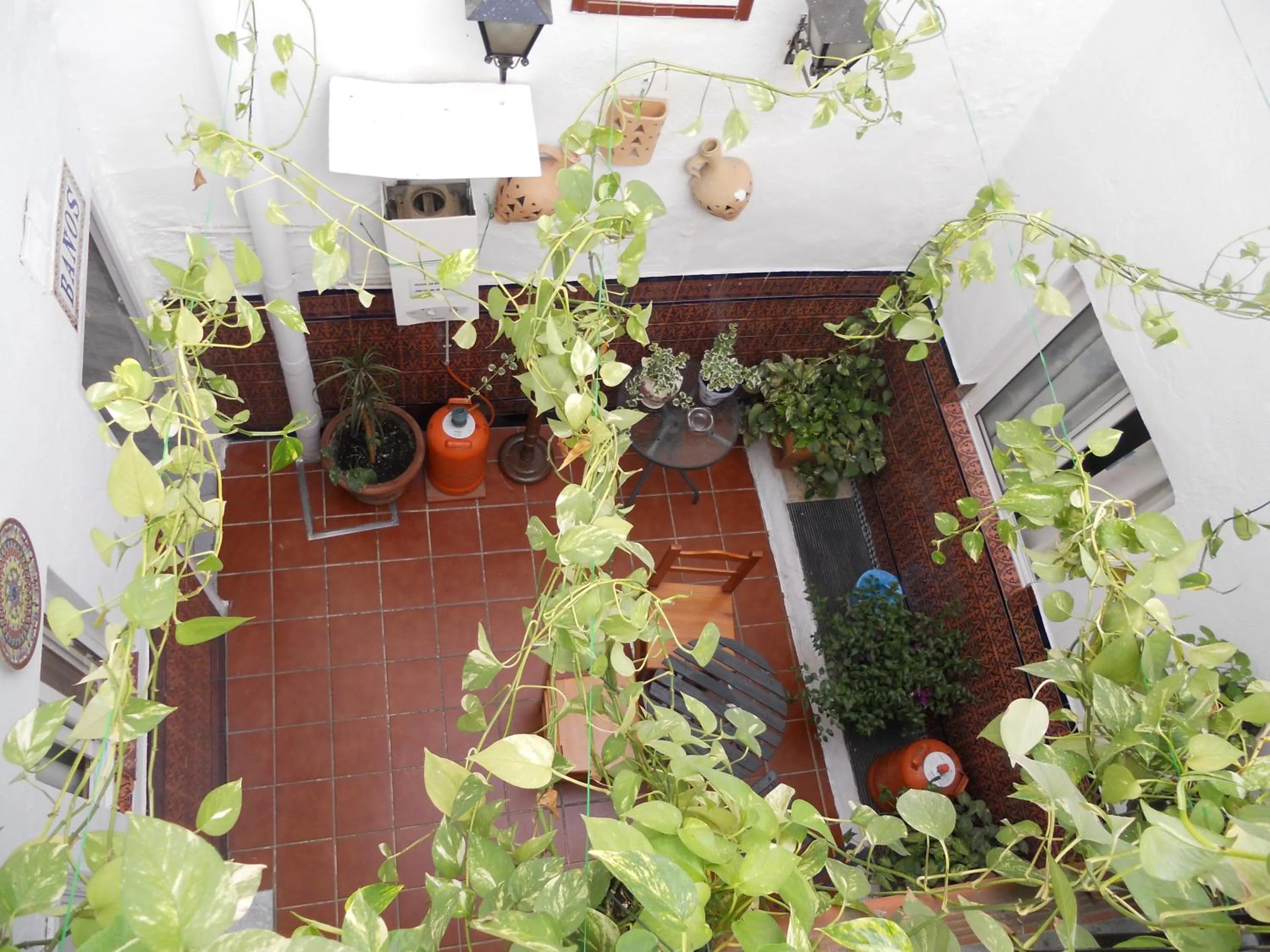 Patio in Pensión Santa María la Blanca