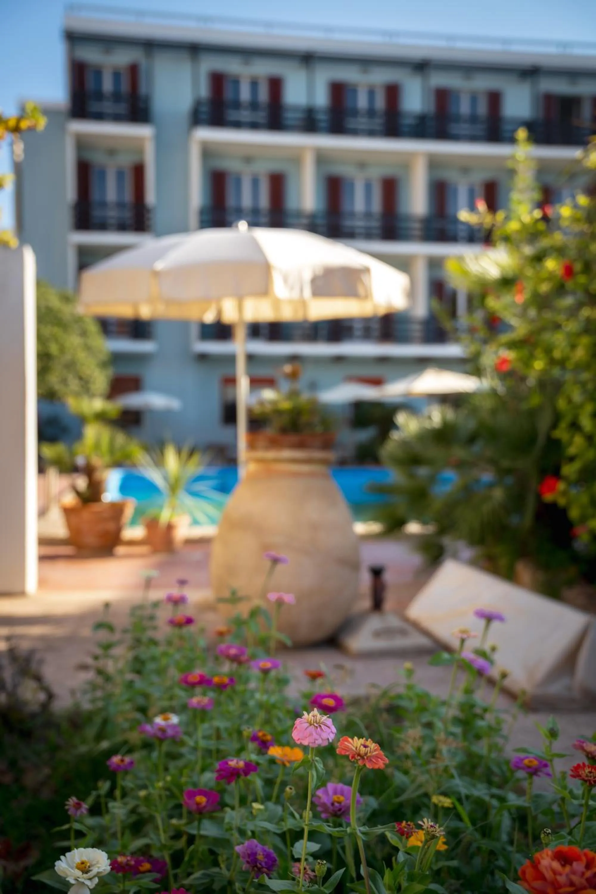 Garden in Hotel Giardino La Playa