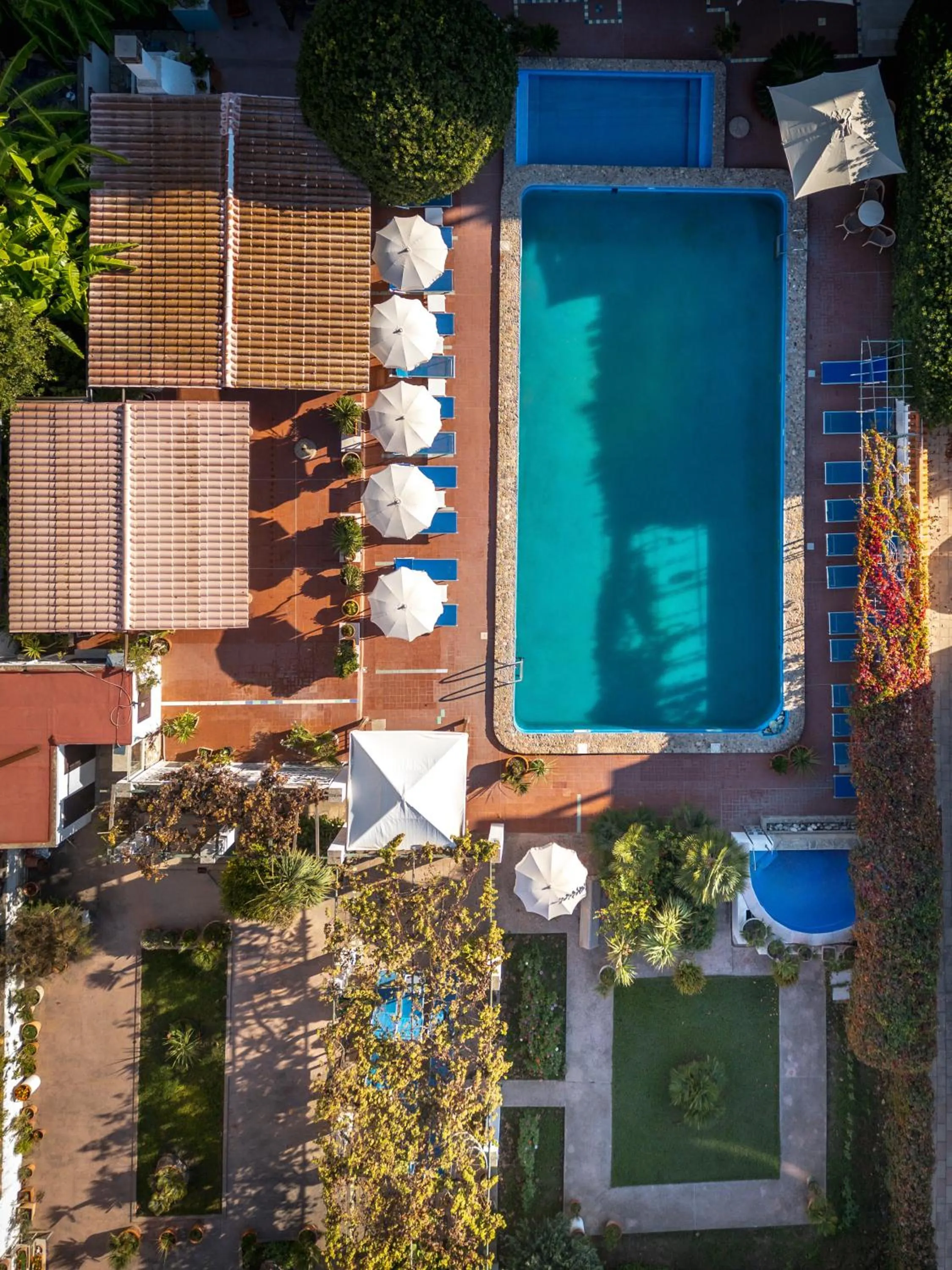 Garden in Hotel Giardino La Playa
