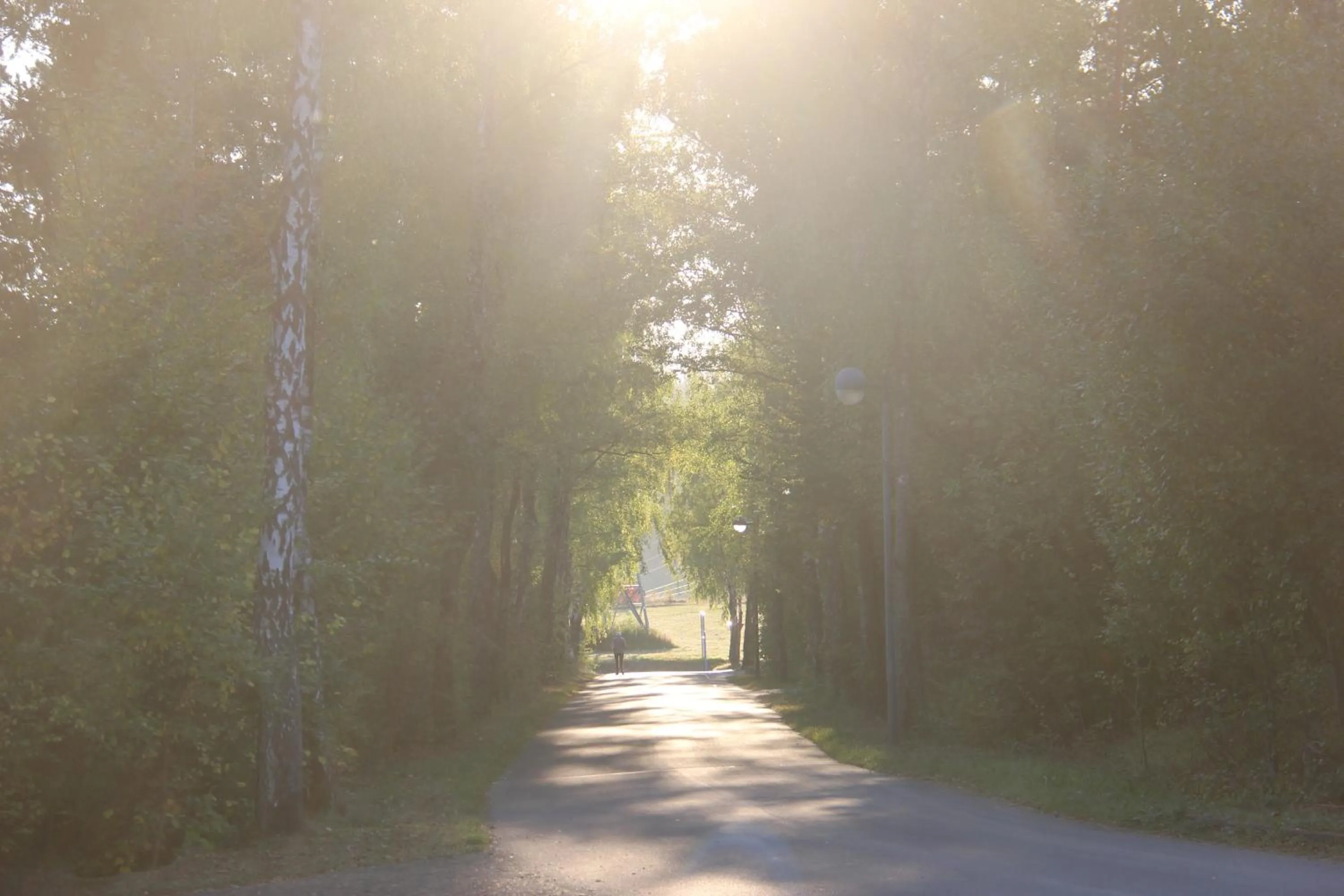 Neighbourhood in Hotel Löwenstein
