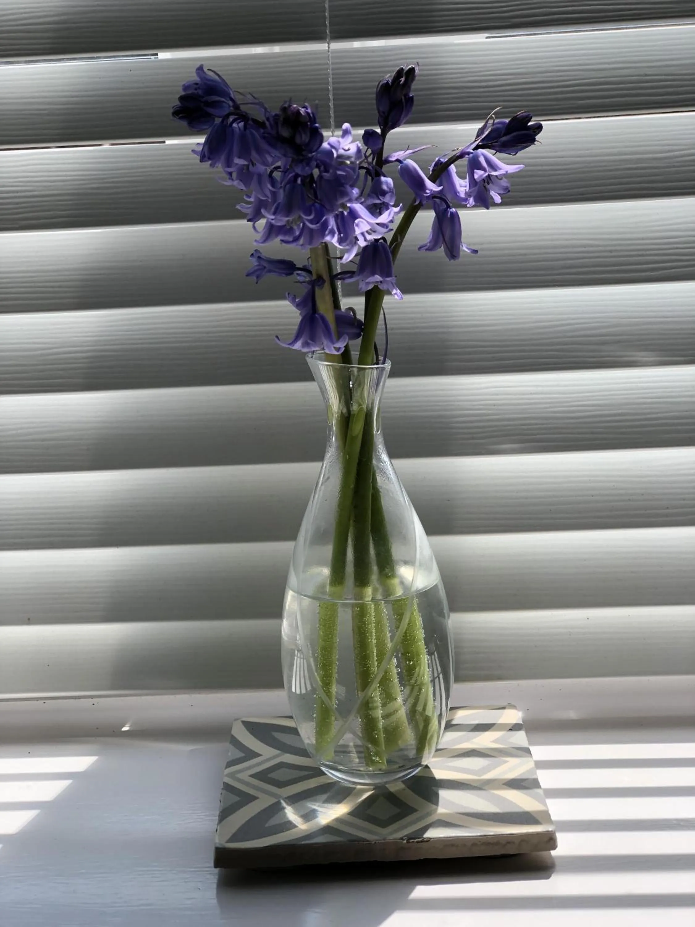 Bathroom in Cotswold Lodge