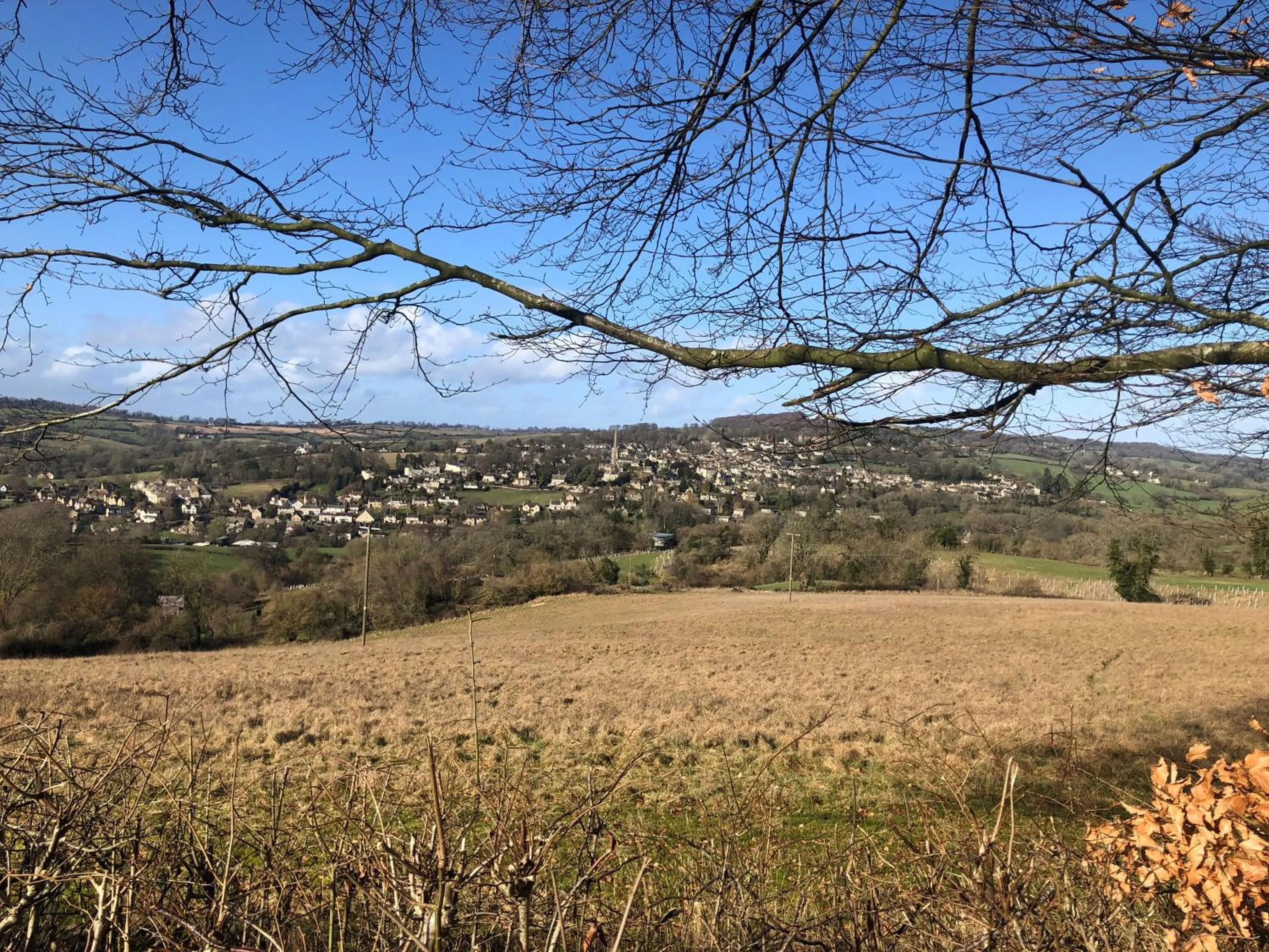 Natural landscape in Cotswold Lodge