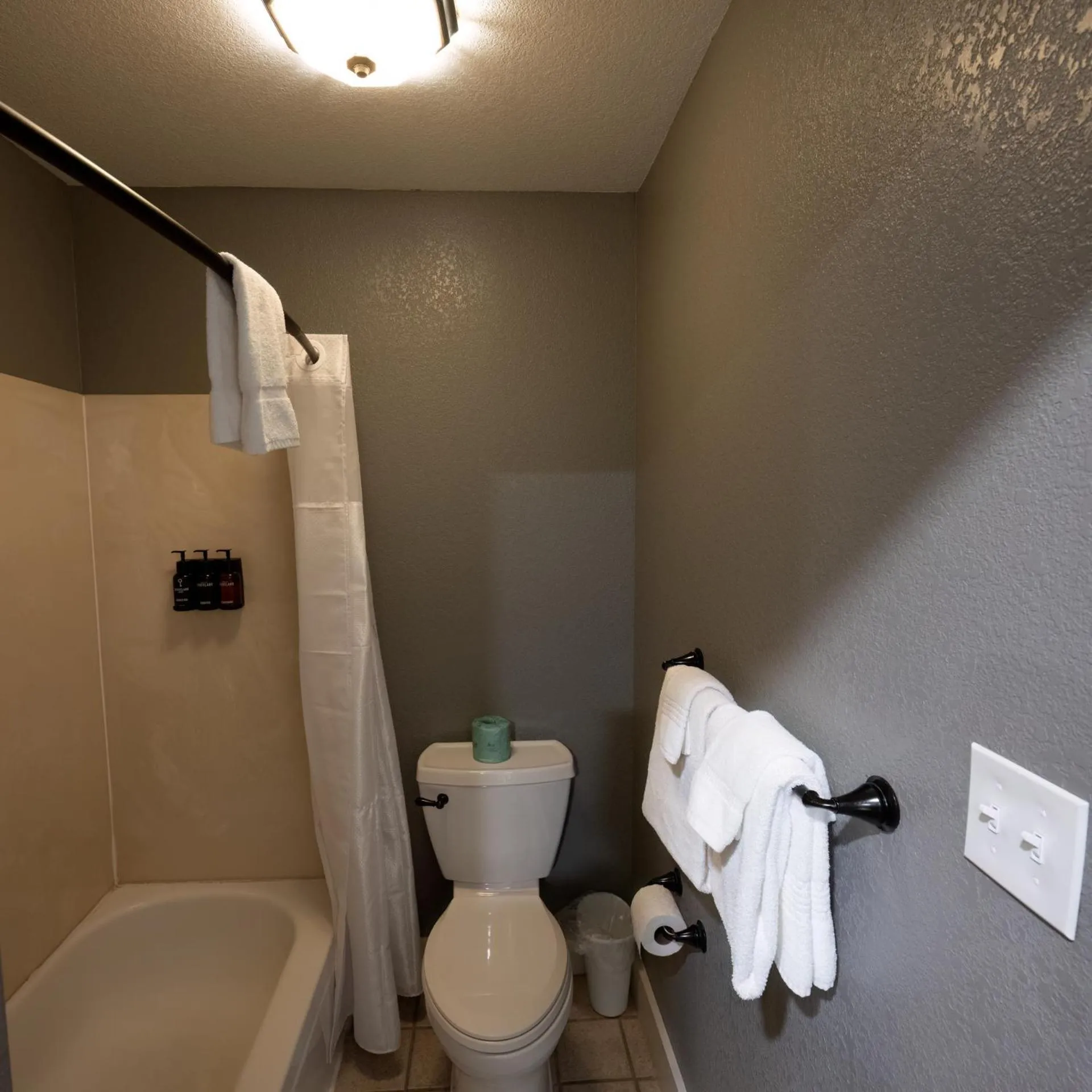 Toilet in The Groveland Hotel