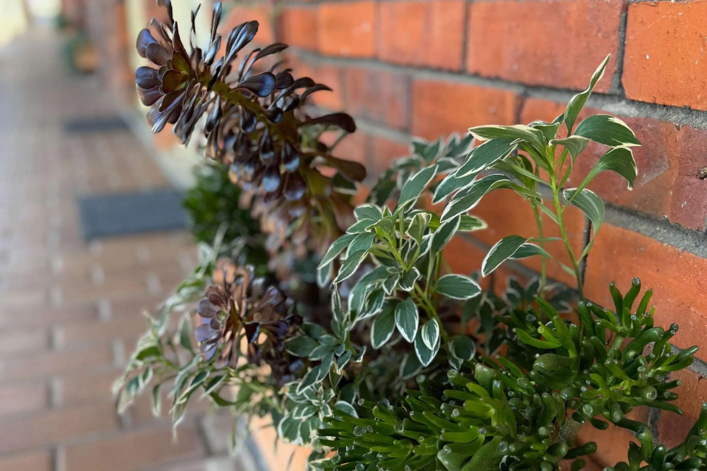 Property building in Econo Lodge Gateway Tamworth