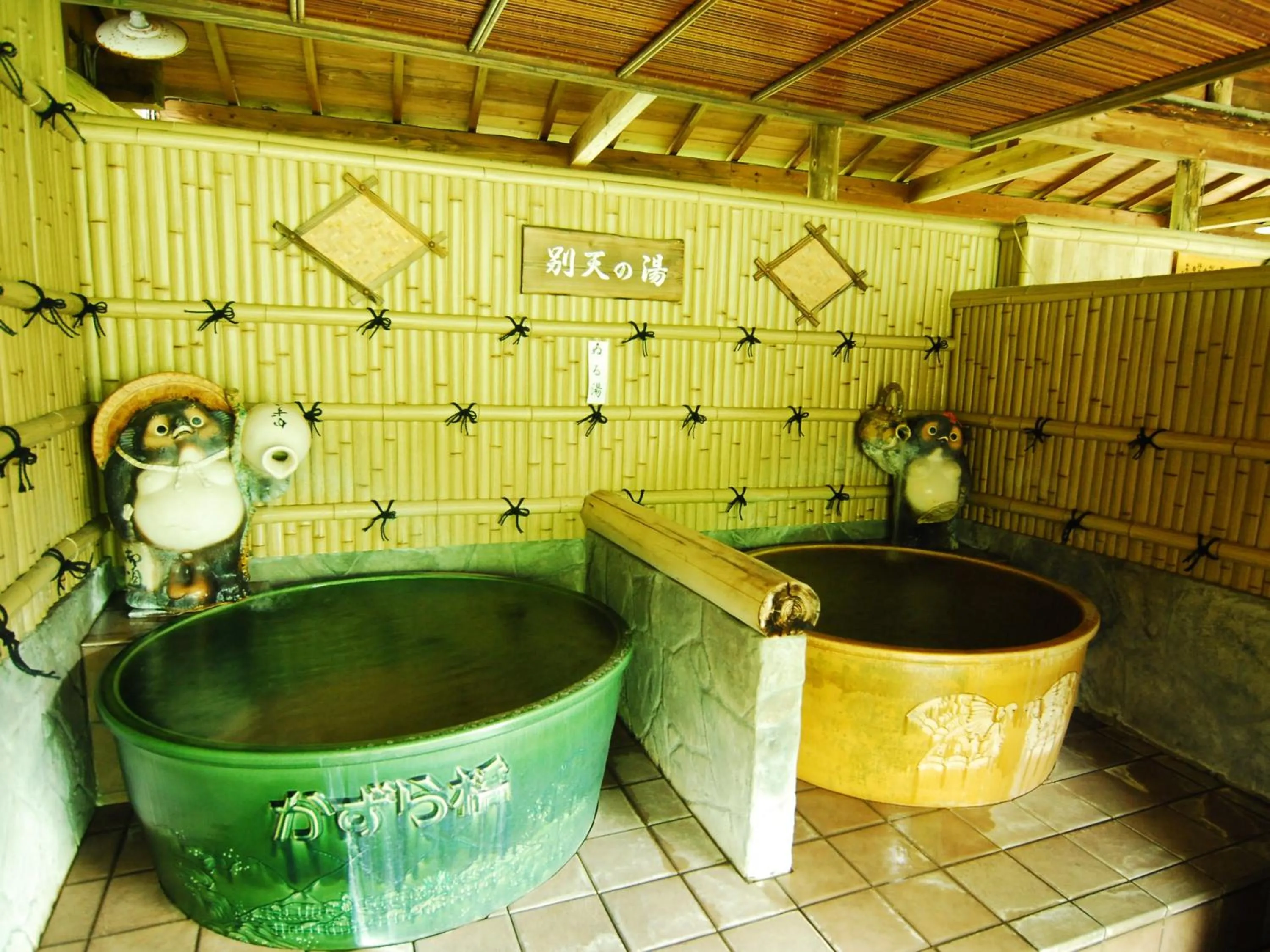 Hot Spring Bath in Hotel Kazurabashi