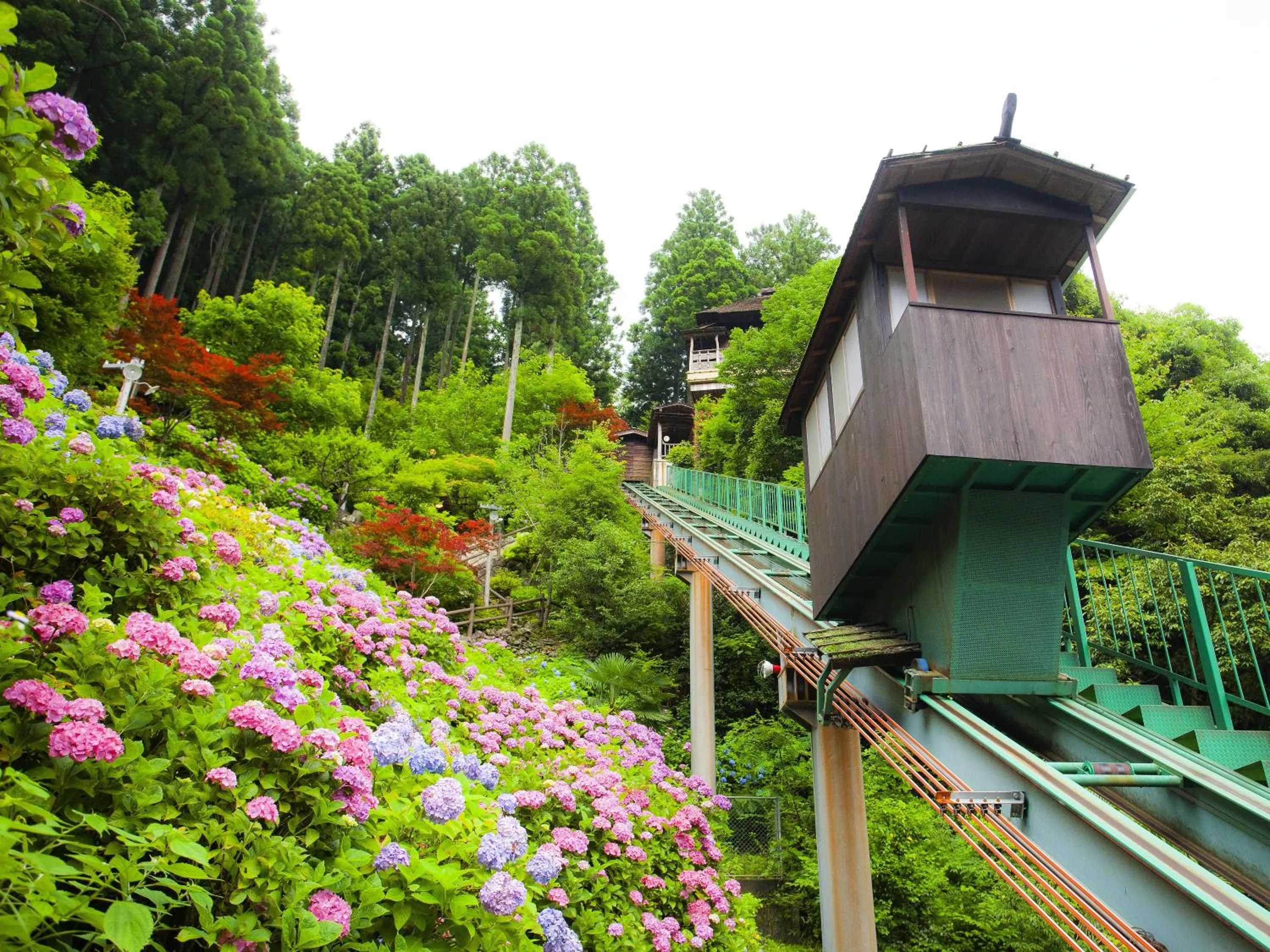 Natural landscape in Hotel Kazurabashi