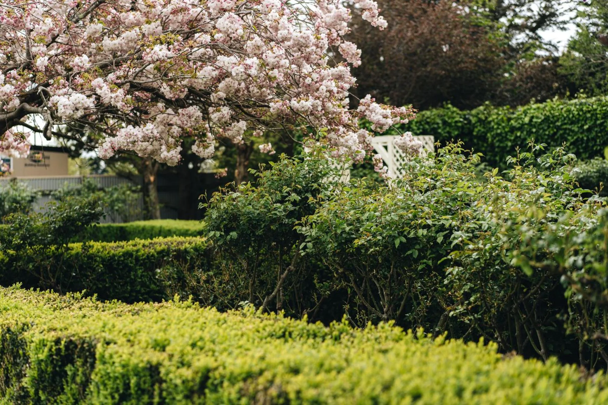 Brackenridge Country Retreat & Spa