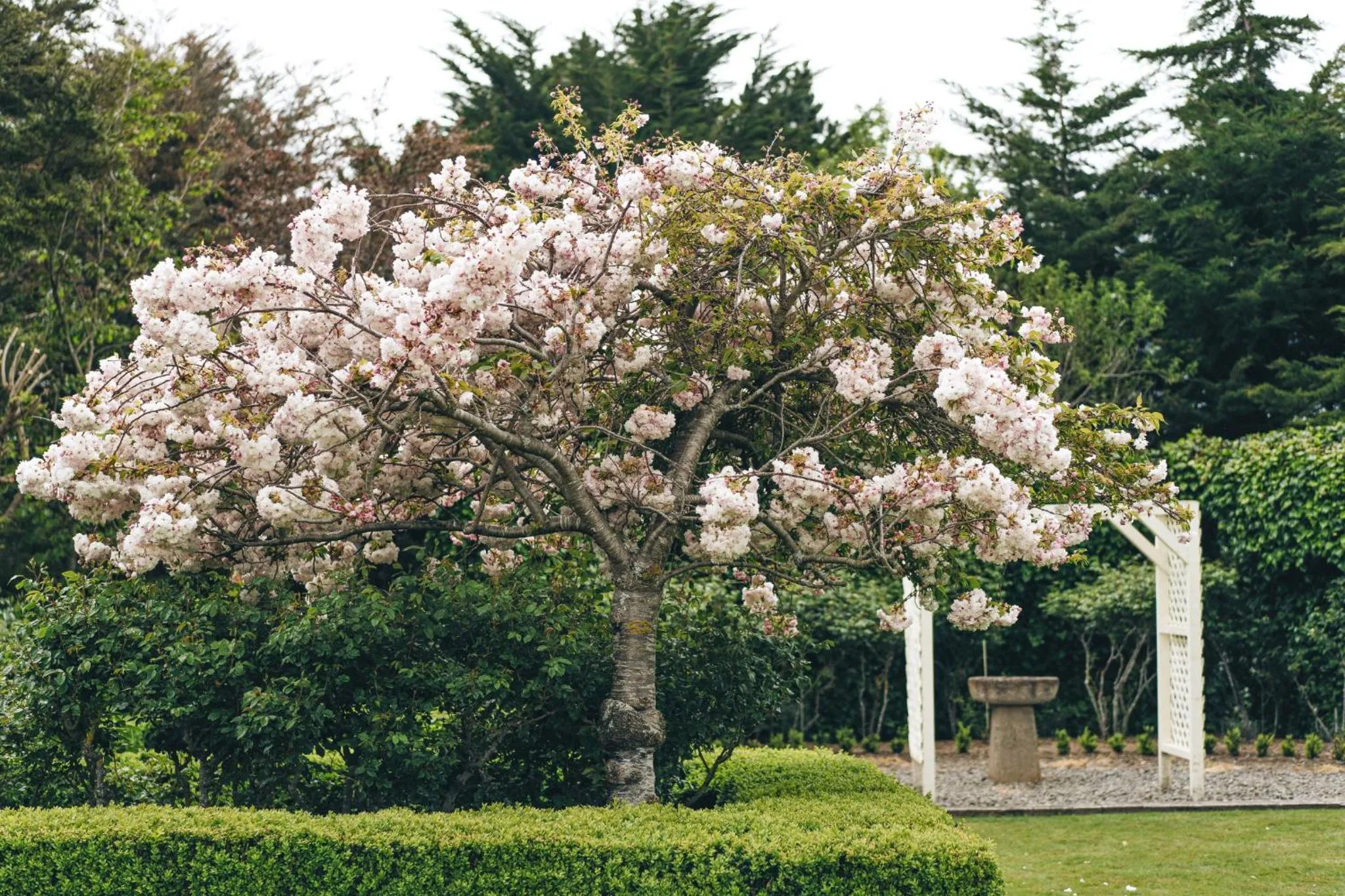 Brackenridge Country Retreat & Spa