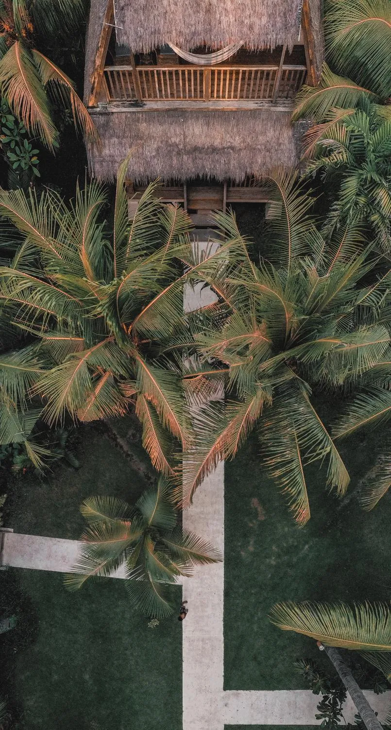 Island View Bar & Bungalow