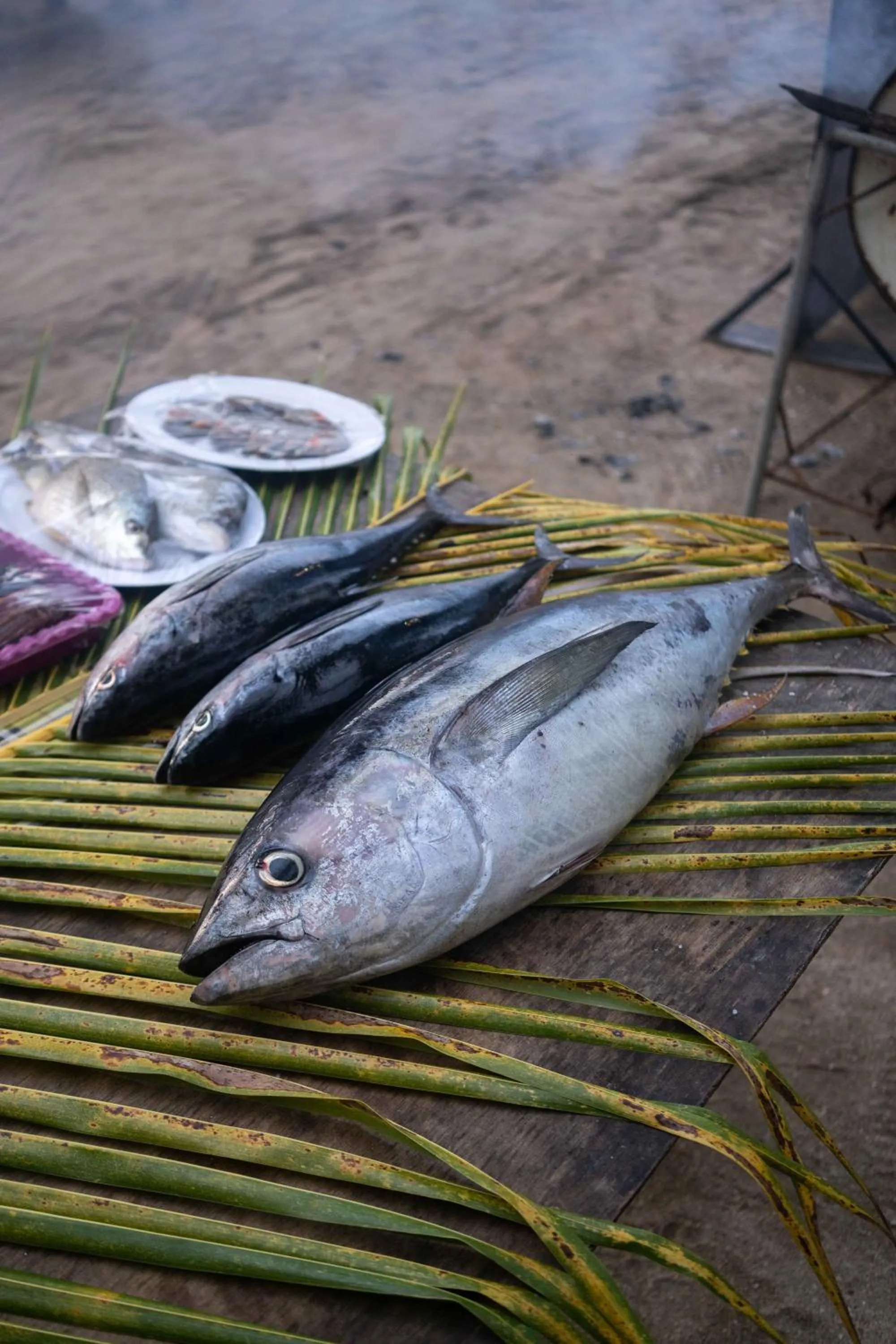 Island View Bar & Bungalow