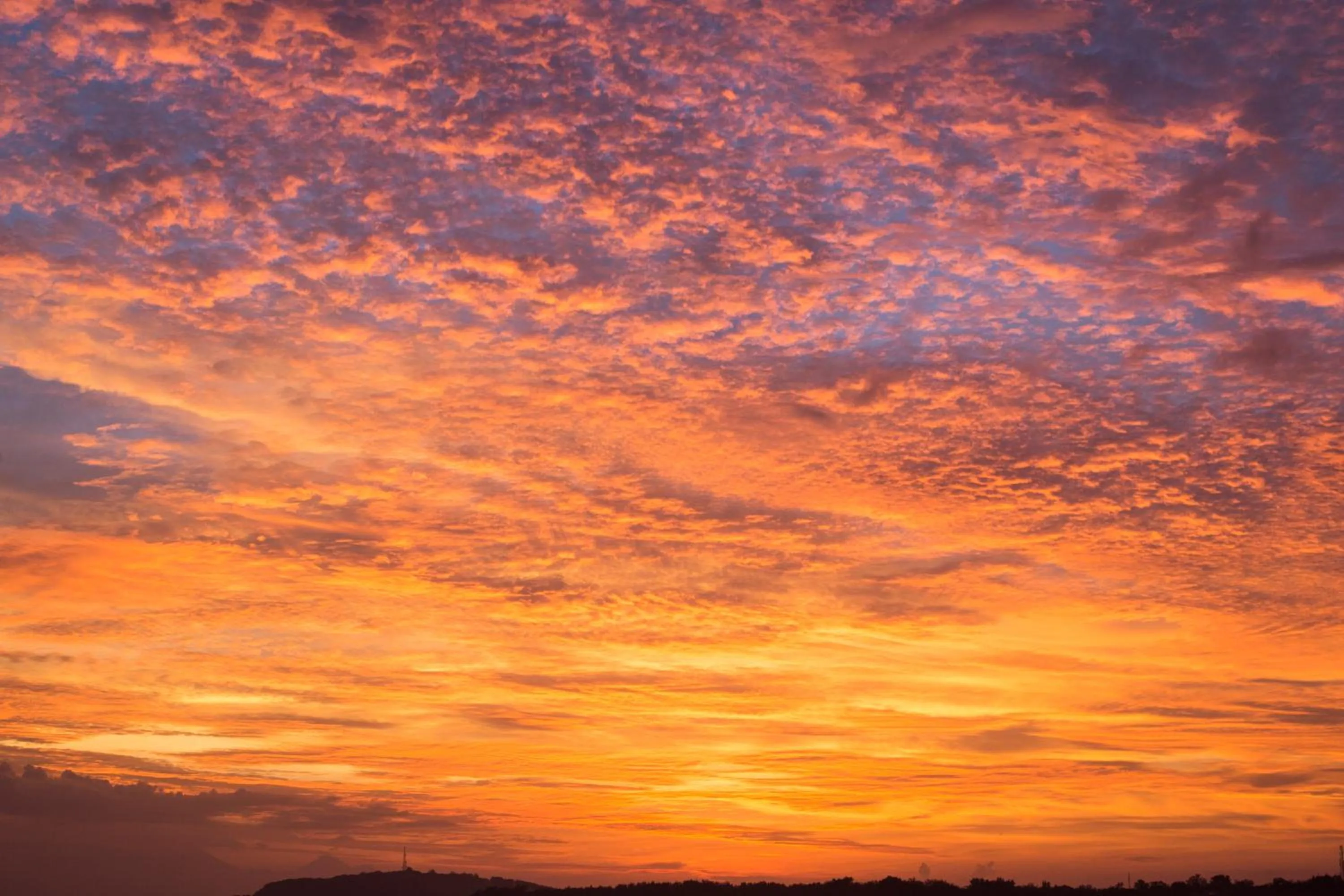 Island View Bar & Bungalow