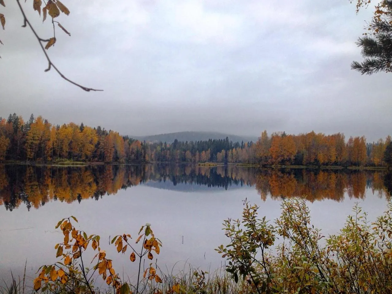 Natural landscape in Holiday Village Tahko-Tours