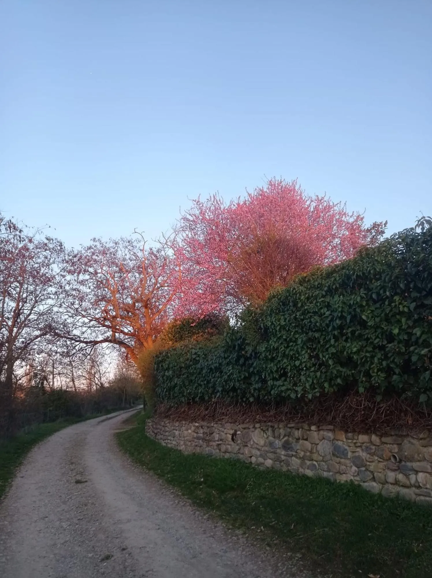 Hiking in Hotel Alda Jolio Jaca