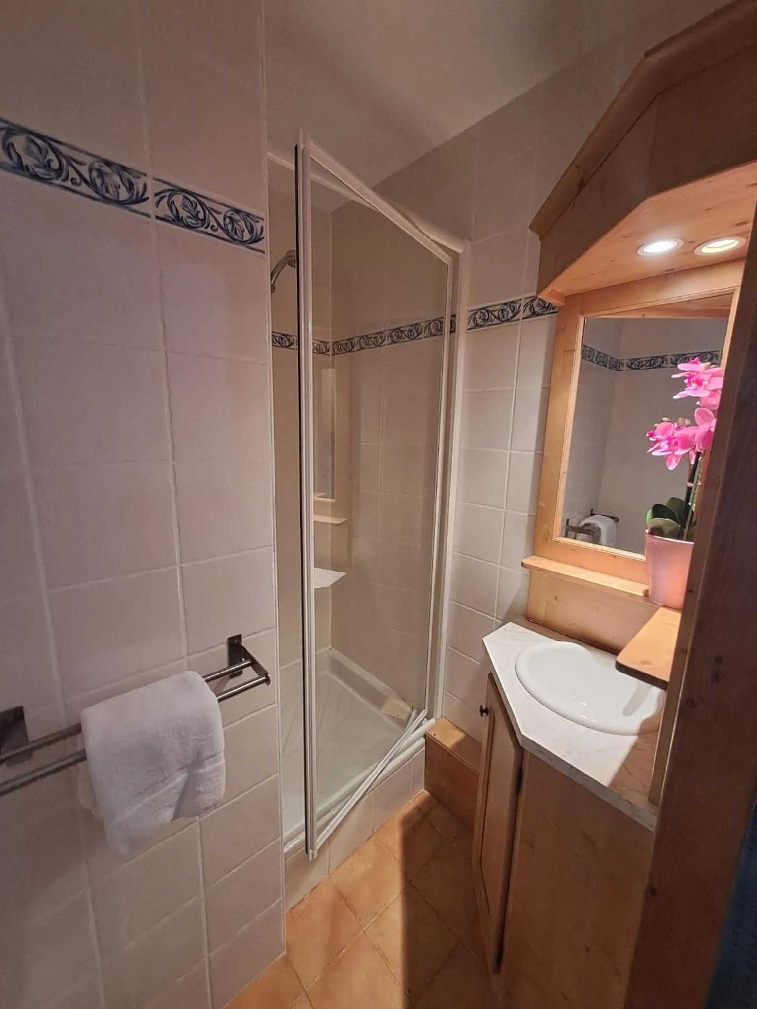Shower in Chalet des Neiges Oz en Oisans