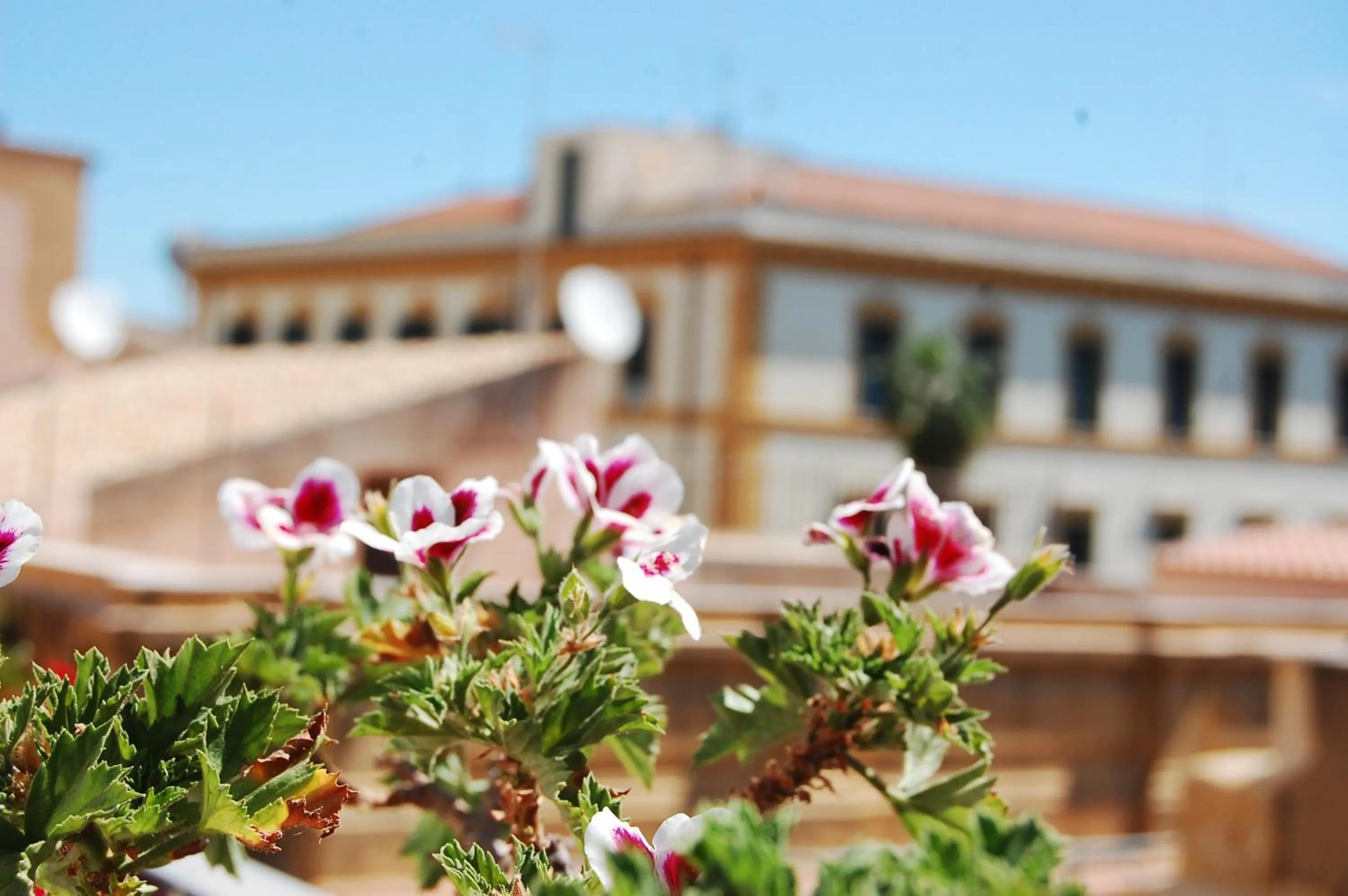 PortAtenea - Atenea Collection