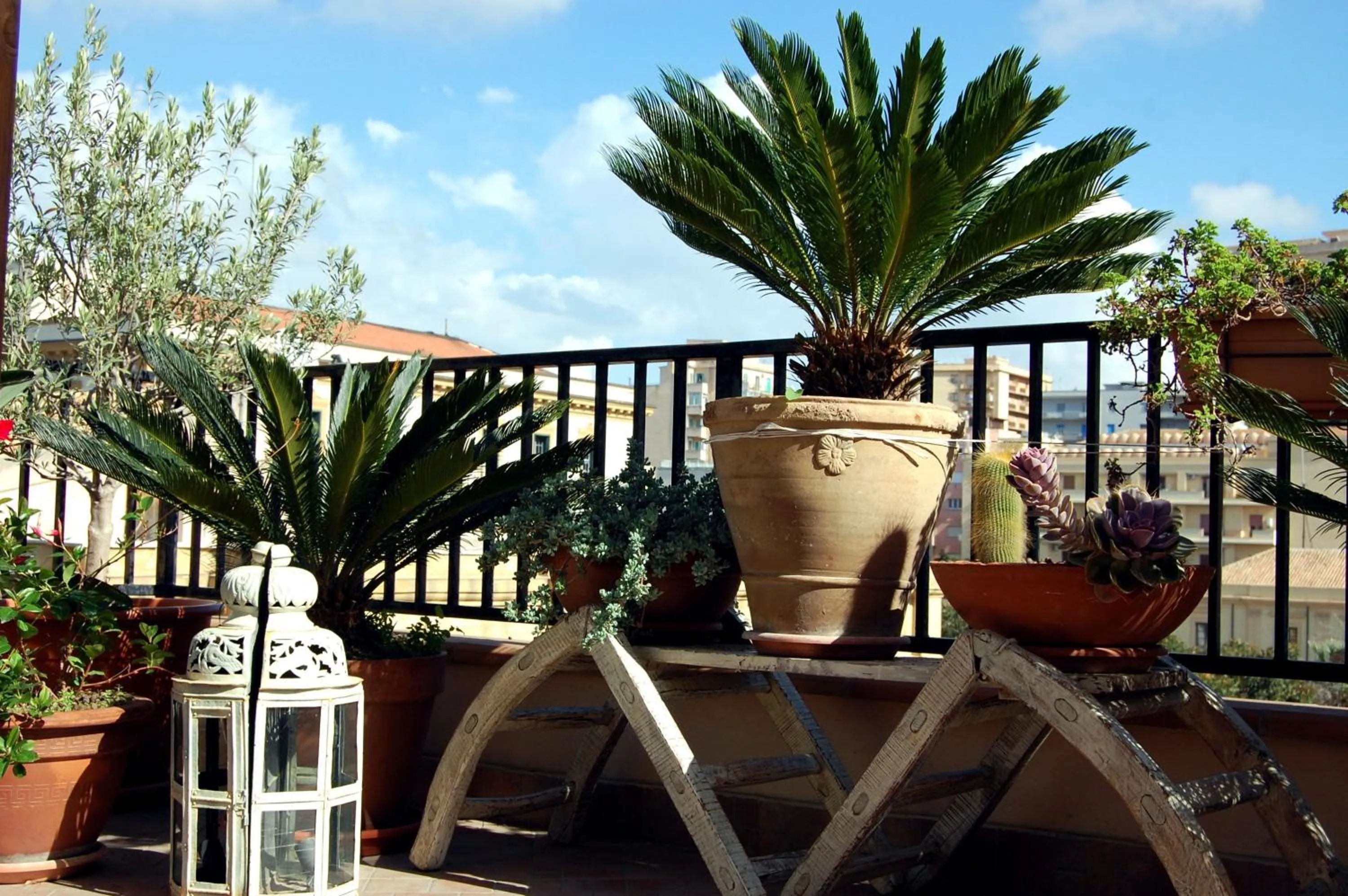 Day in PortAtenea - Atenea Collection