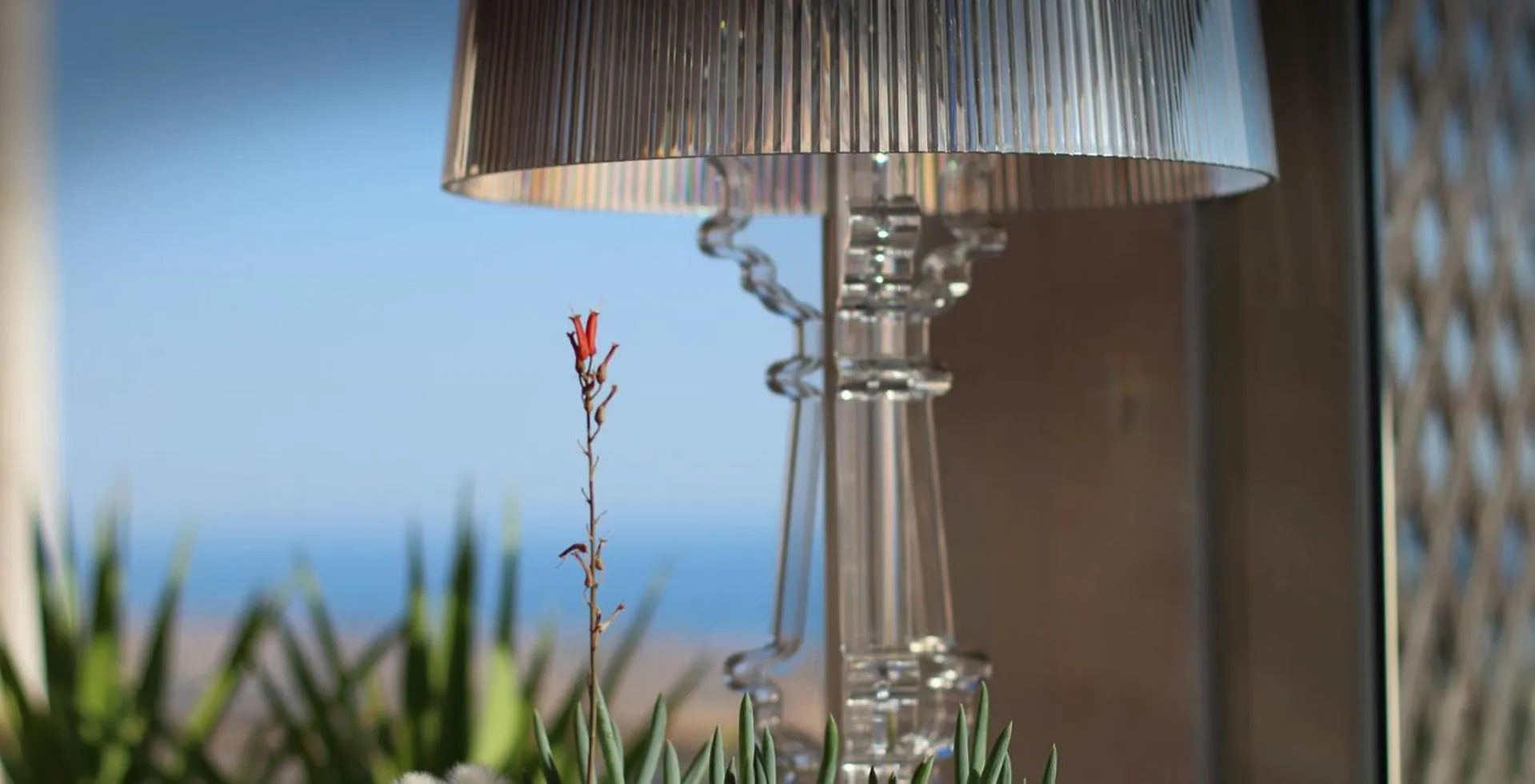 Decorative detail in PortAtenea - Atenea Collection