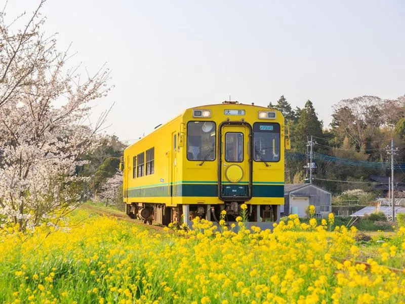 Hotel Green Hill Otaki