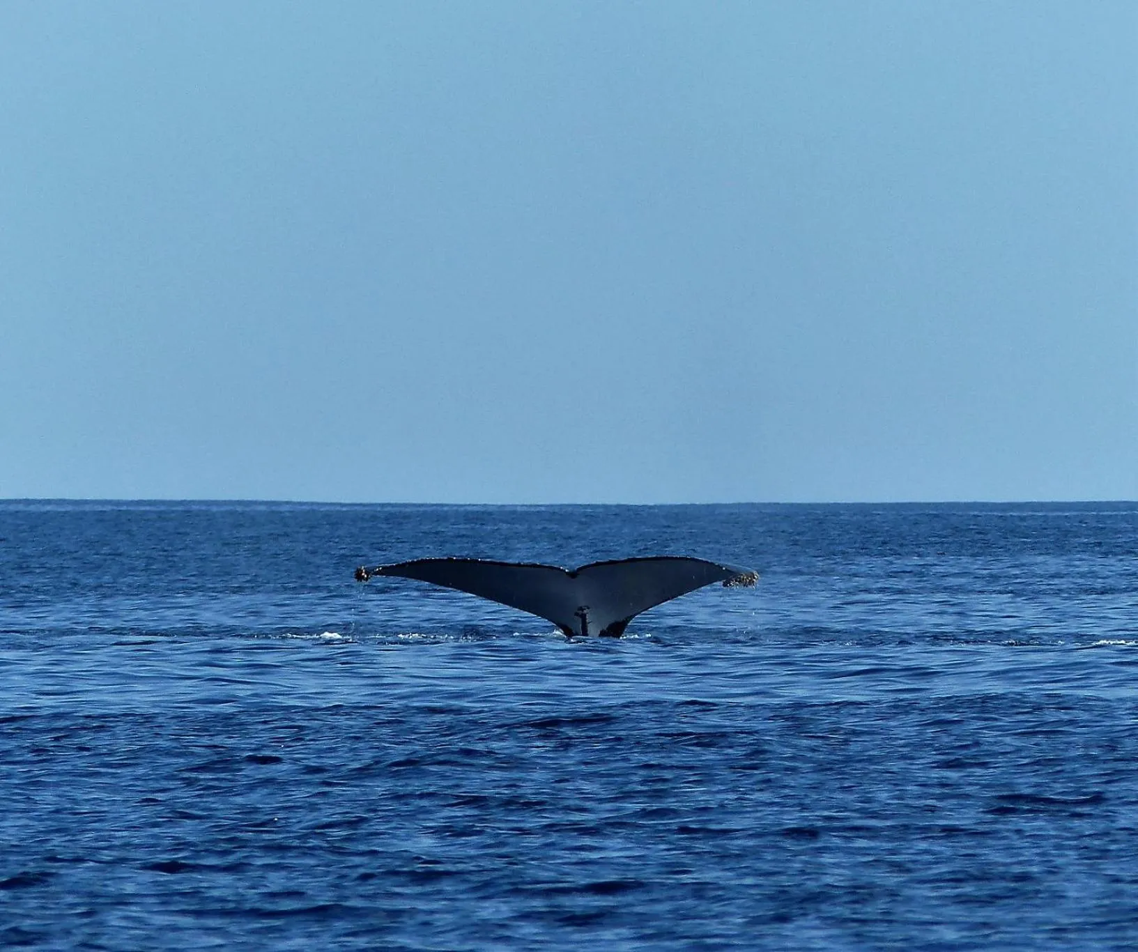 Beach in Laguna Blu - Resort Madagascar