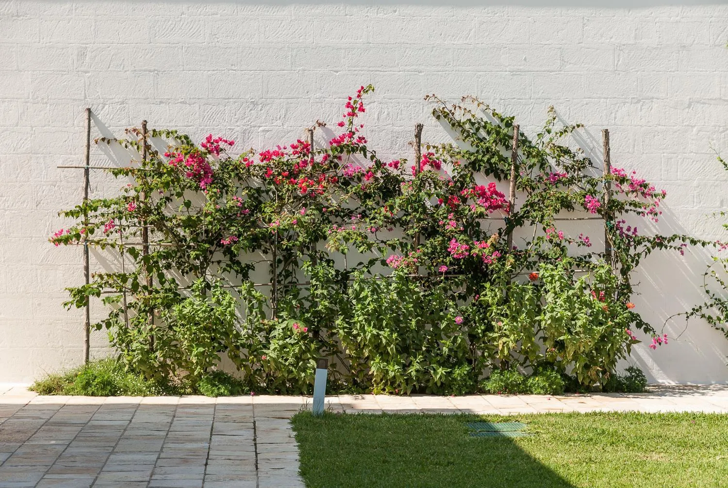 Garden in Furnirussi Tenuta