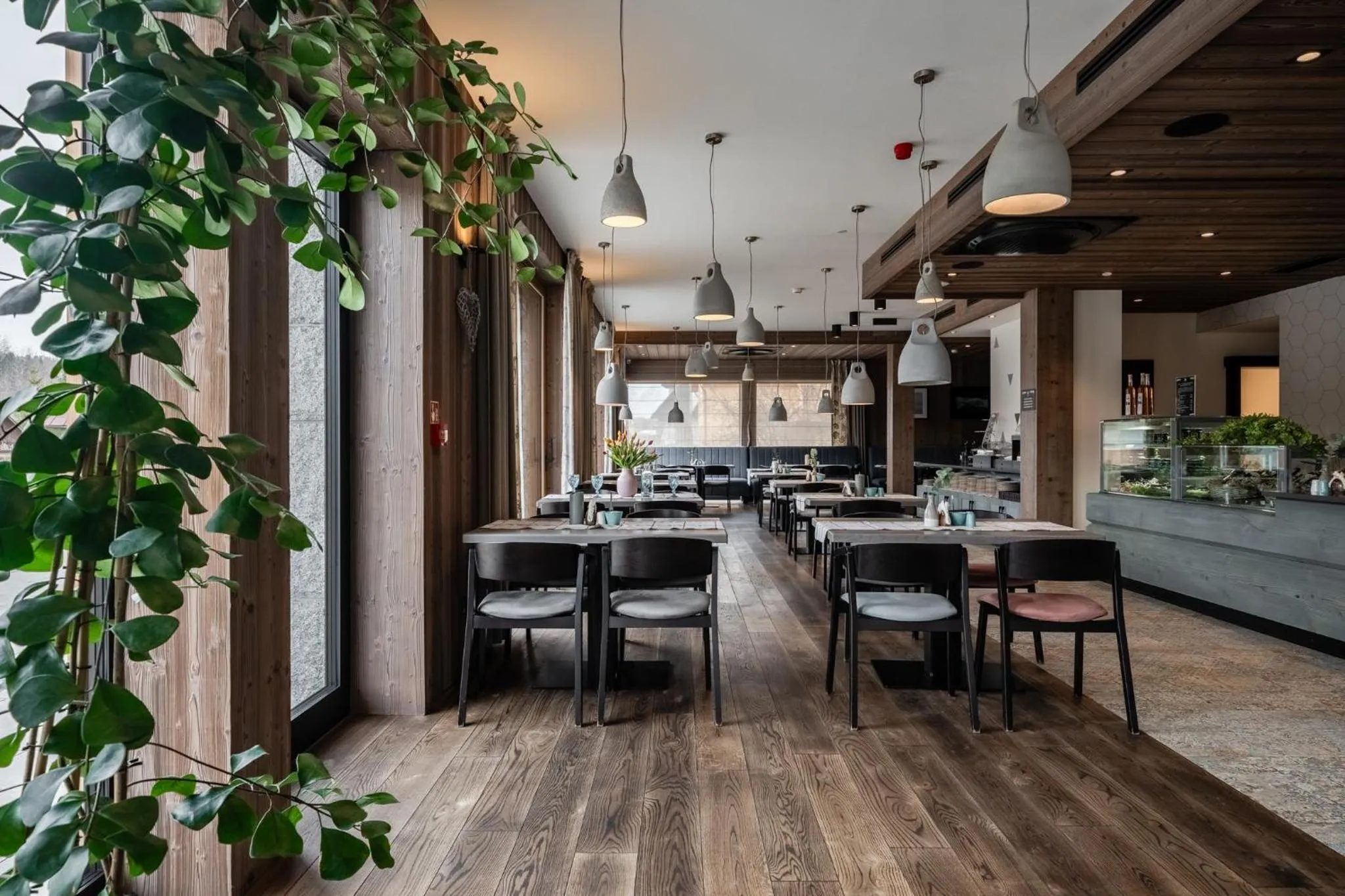 Restaurant/places to eat in Hotel Litworowy Staw