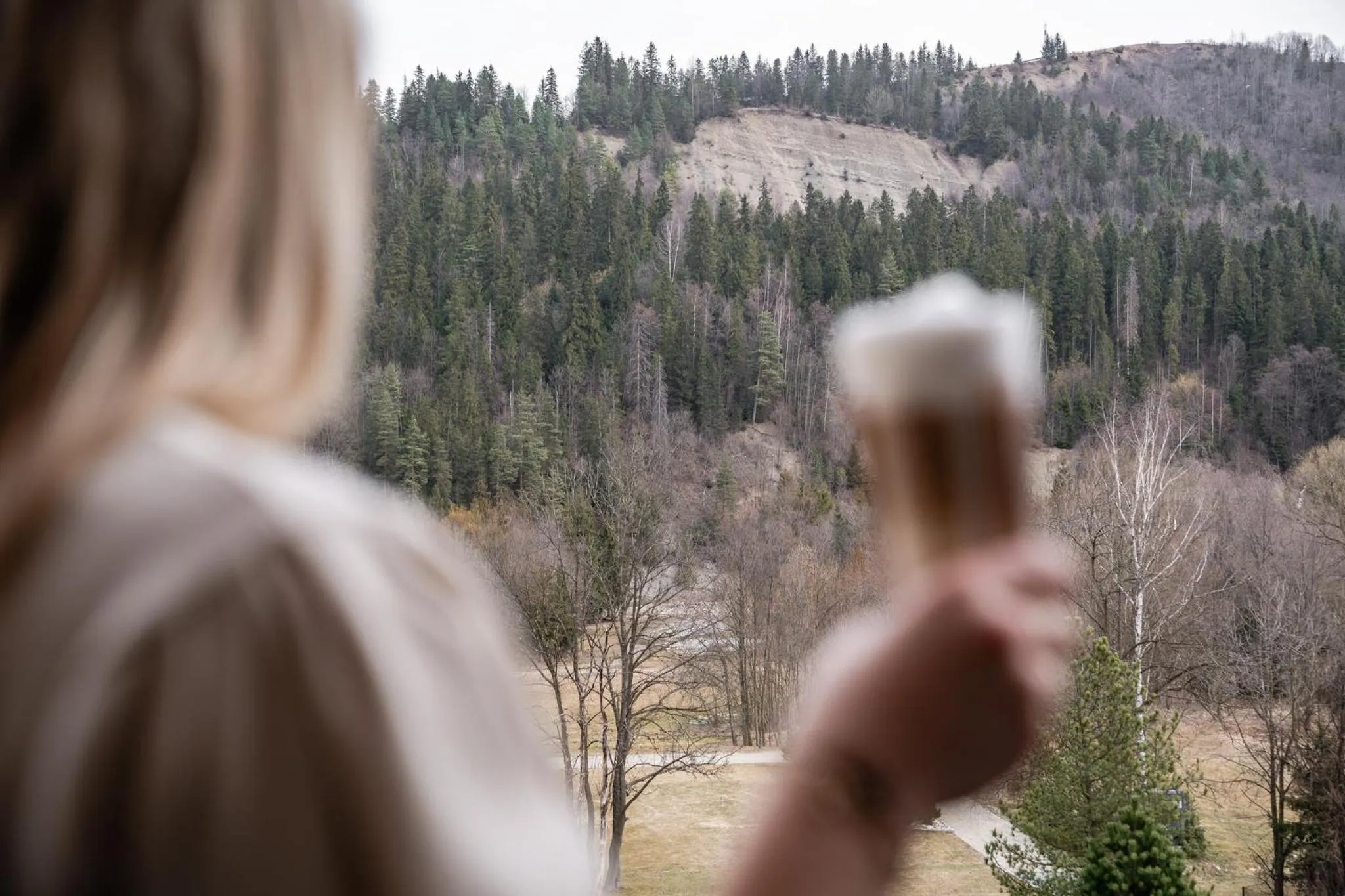 Natural landscape in Hotel Litworowy Staw