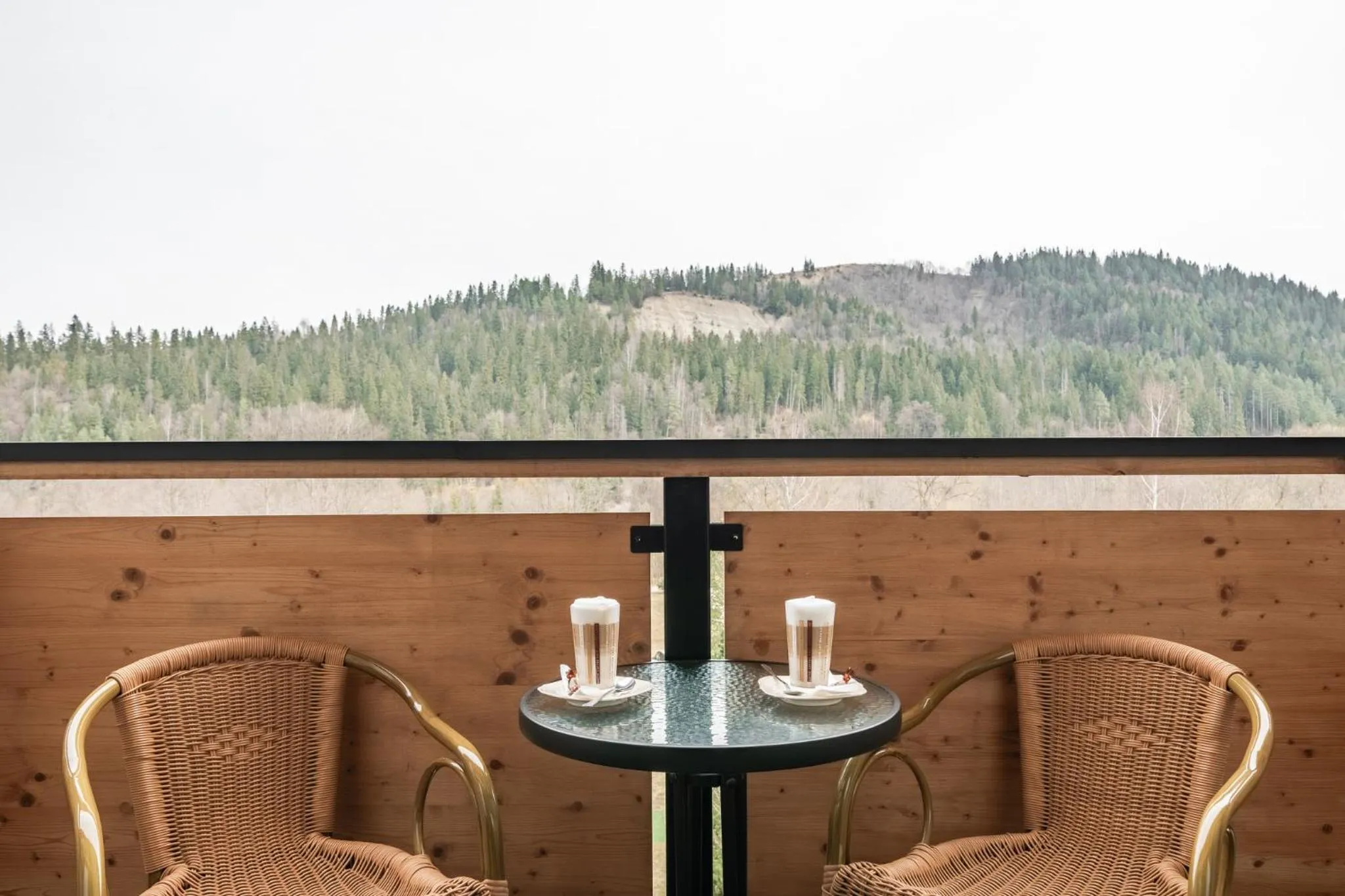 Balcony/Terrace in Hotel Litworowy Staw