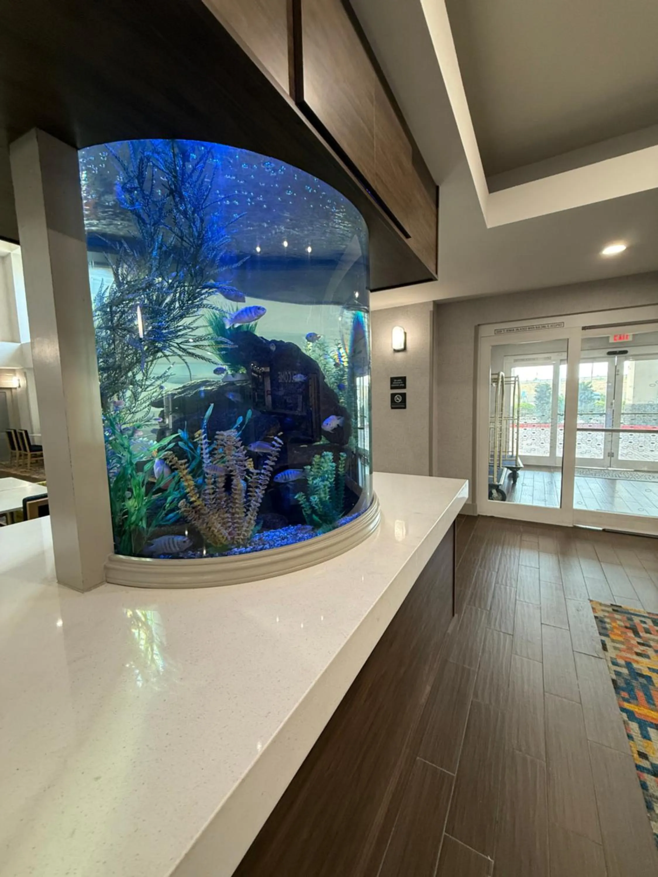 Library in Hampton Inn & Suites Corpus Christi I-37 - Navigation Boulevard