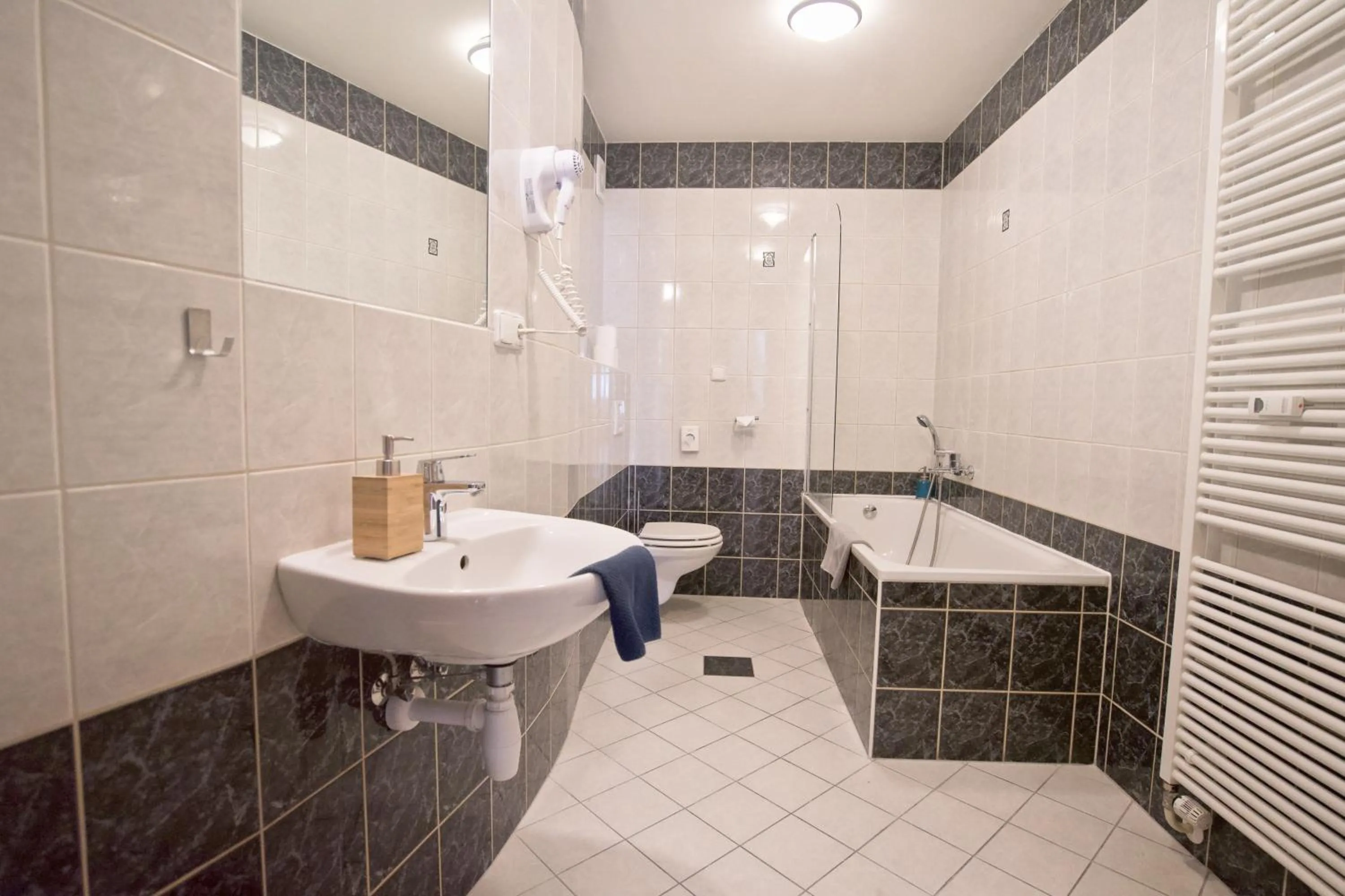 Bathroom in Jacob Brno