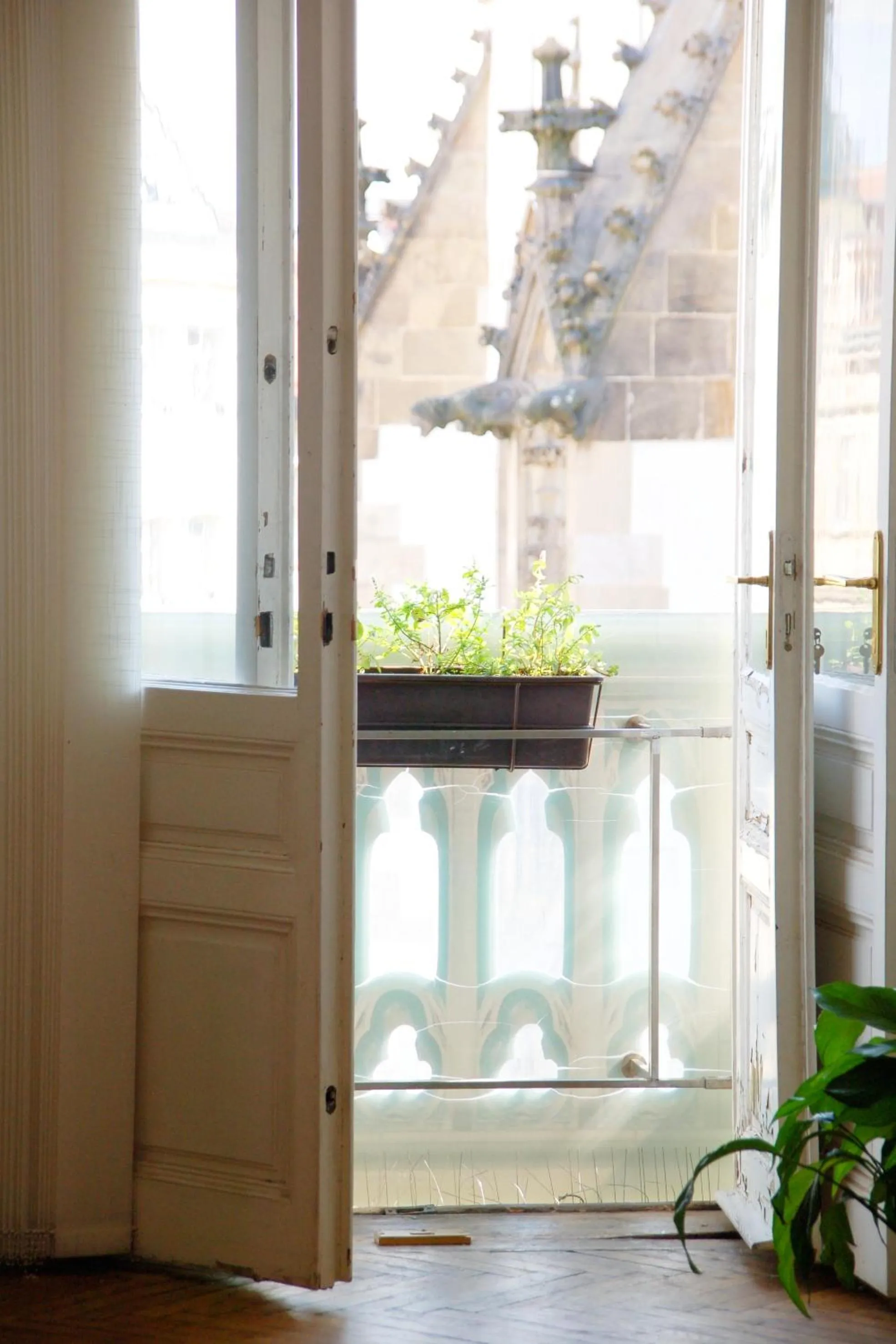 View (from property/room) in Jacob Brno