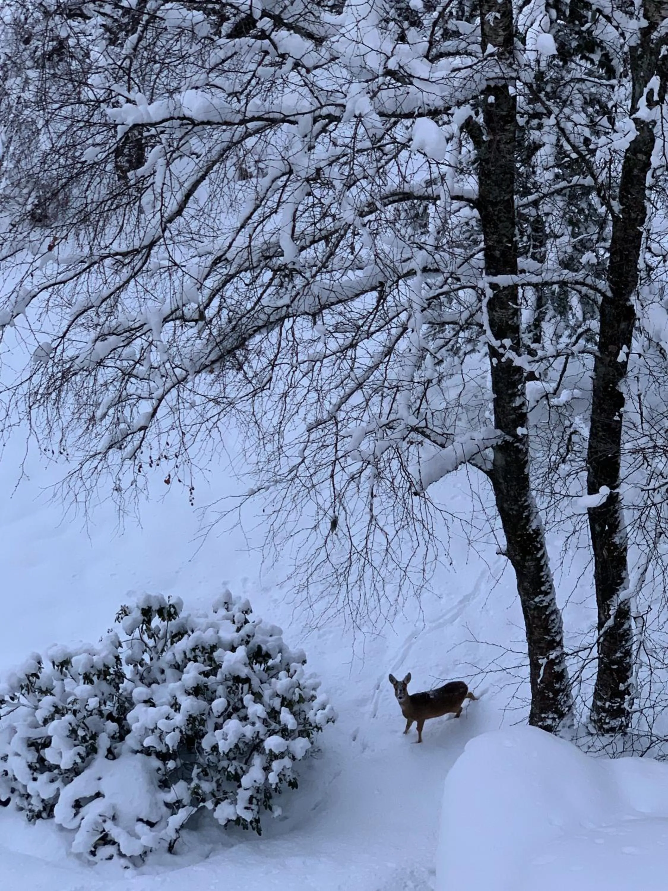 Patio in Residenz Kaiser Franz Josef